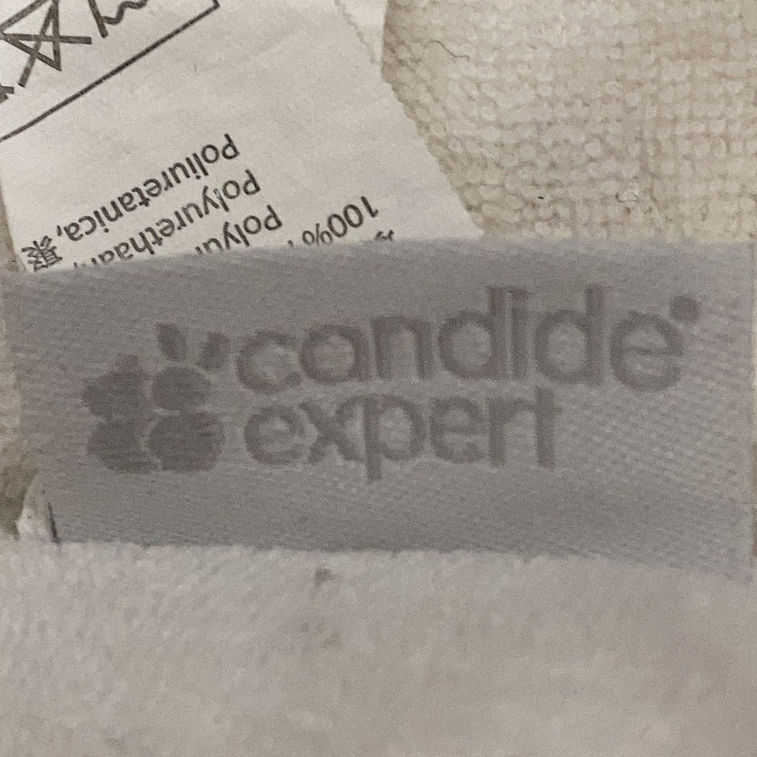 Candide Expert