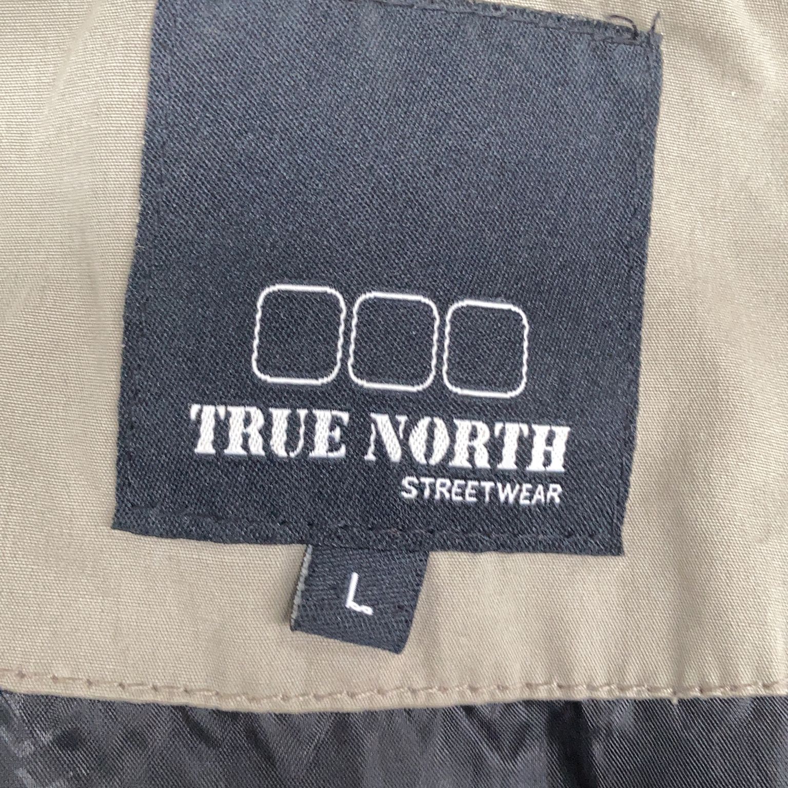 True North