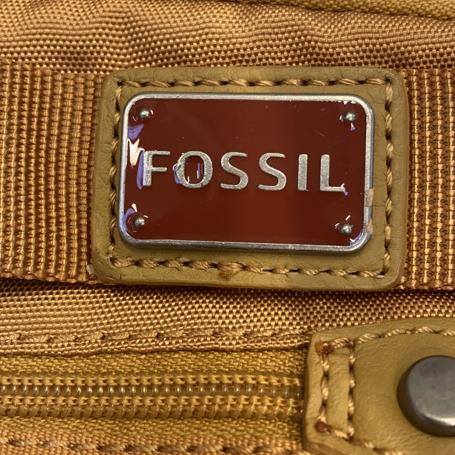 Fossil