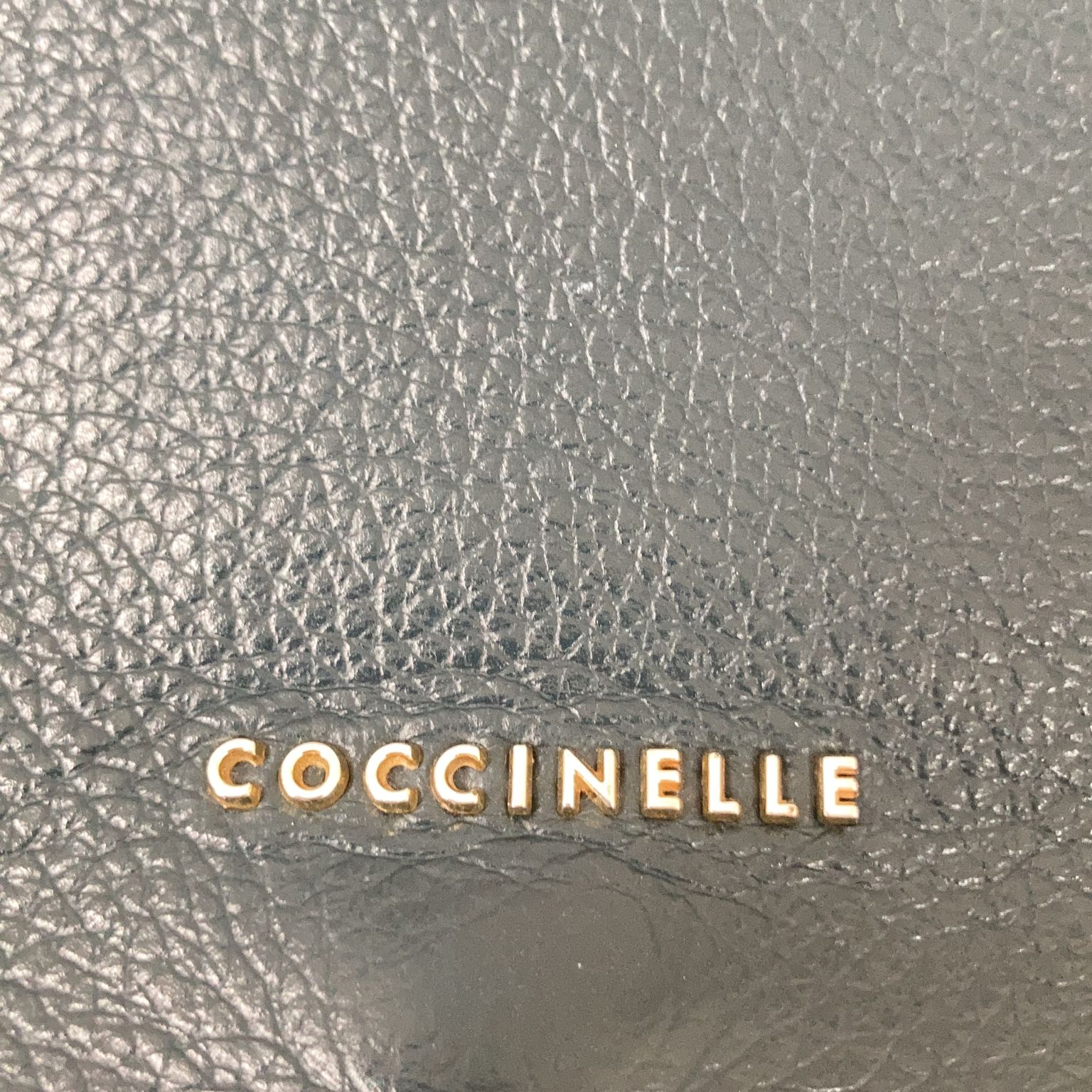 Coccinelle