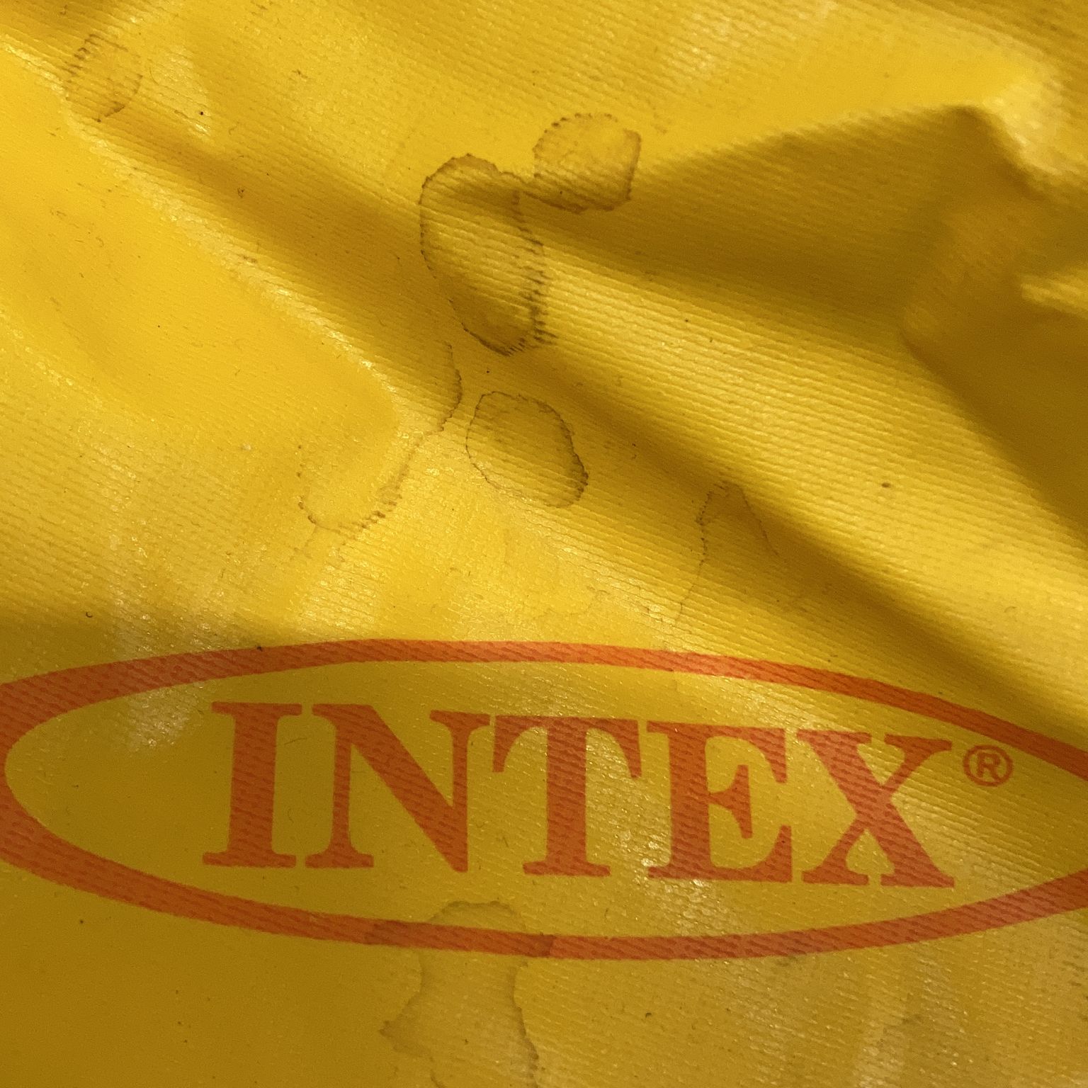 Intex