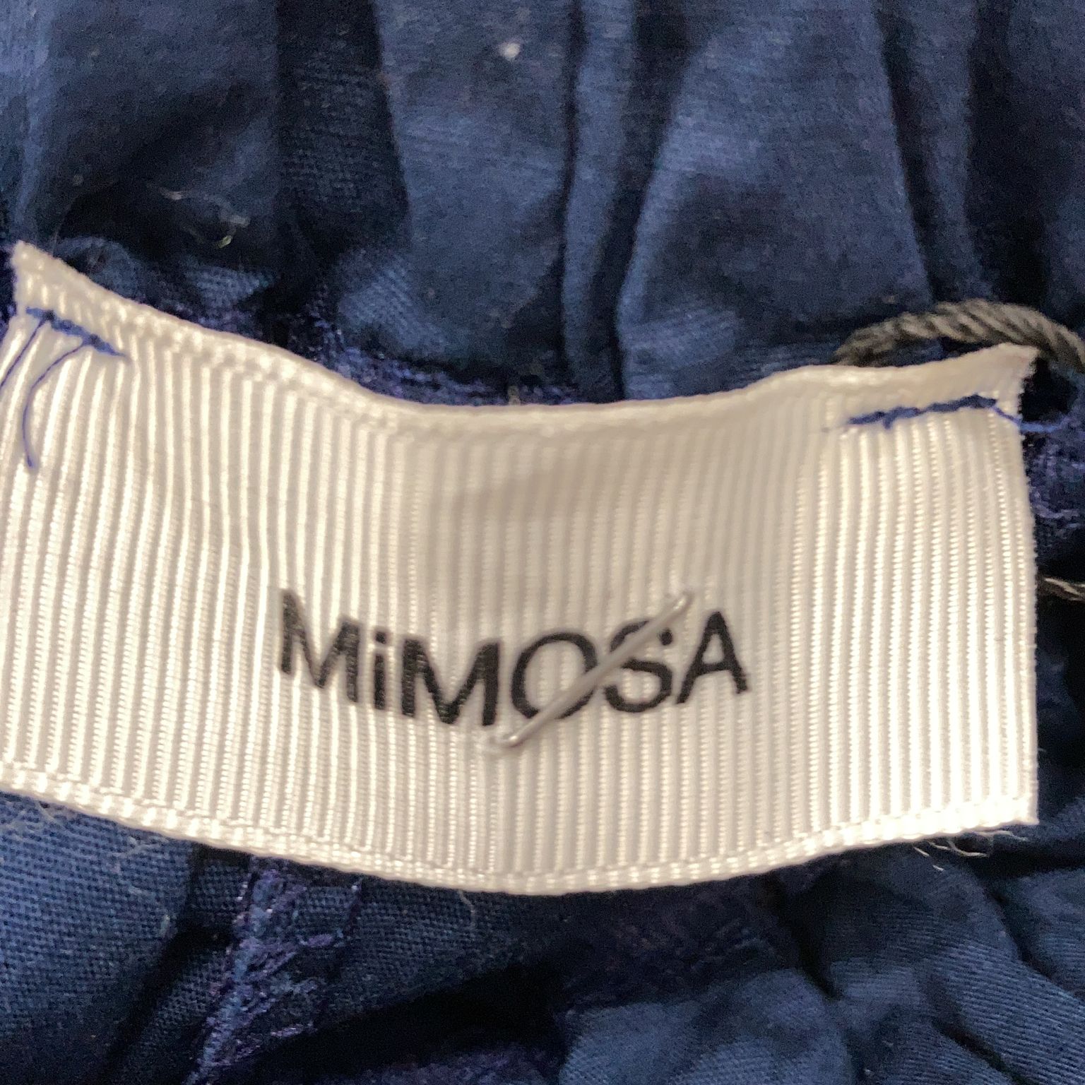 Mimosa