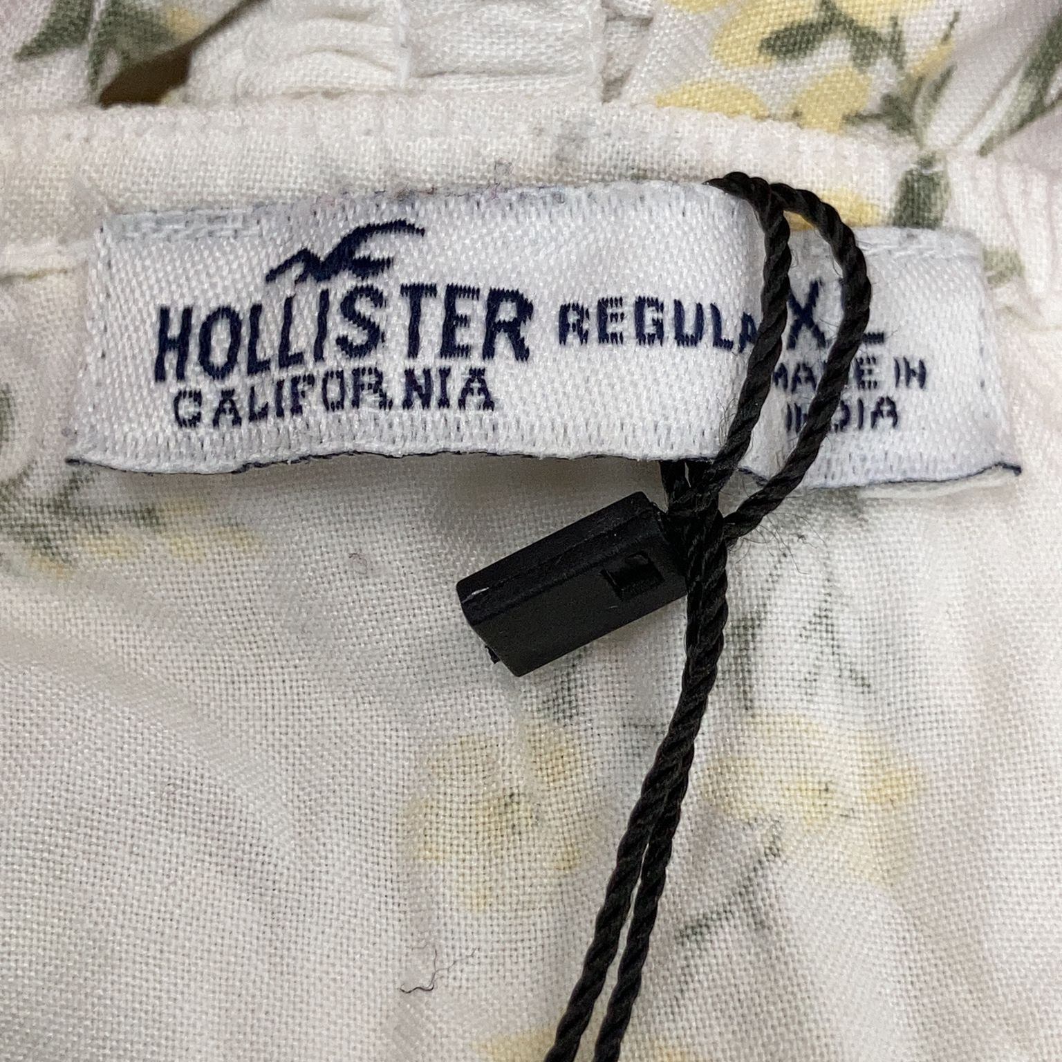 Hollister