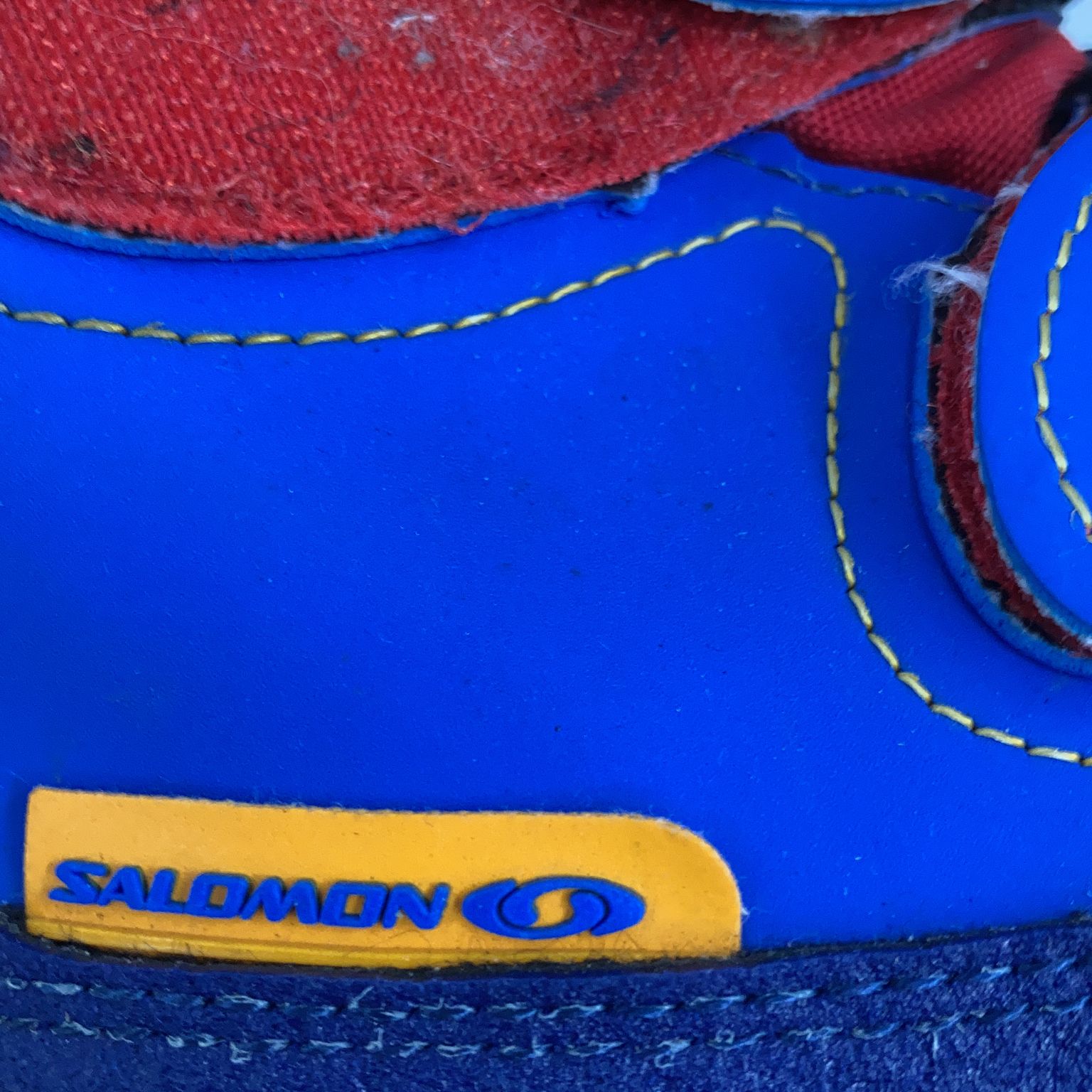 Salomon