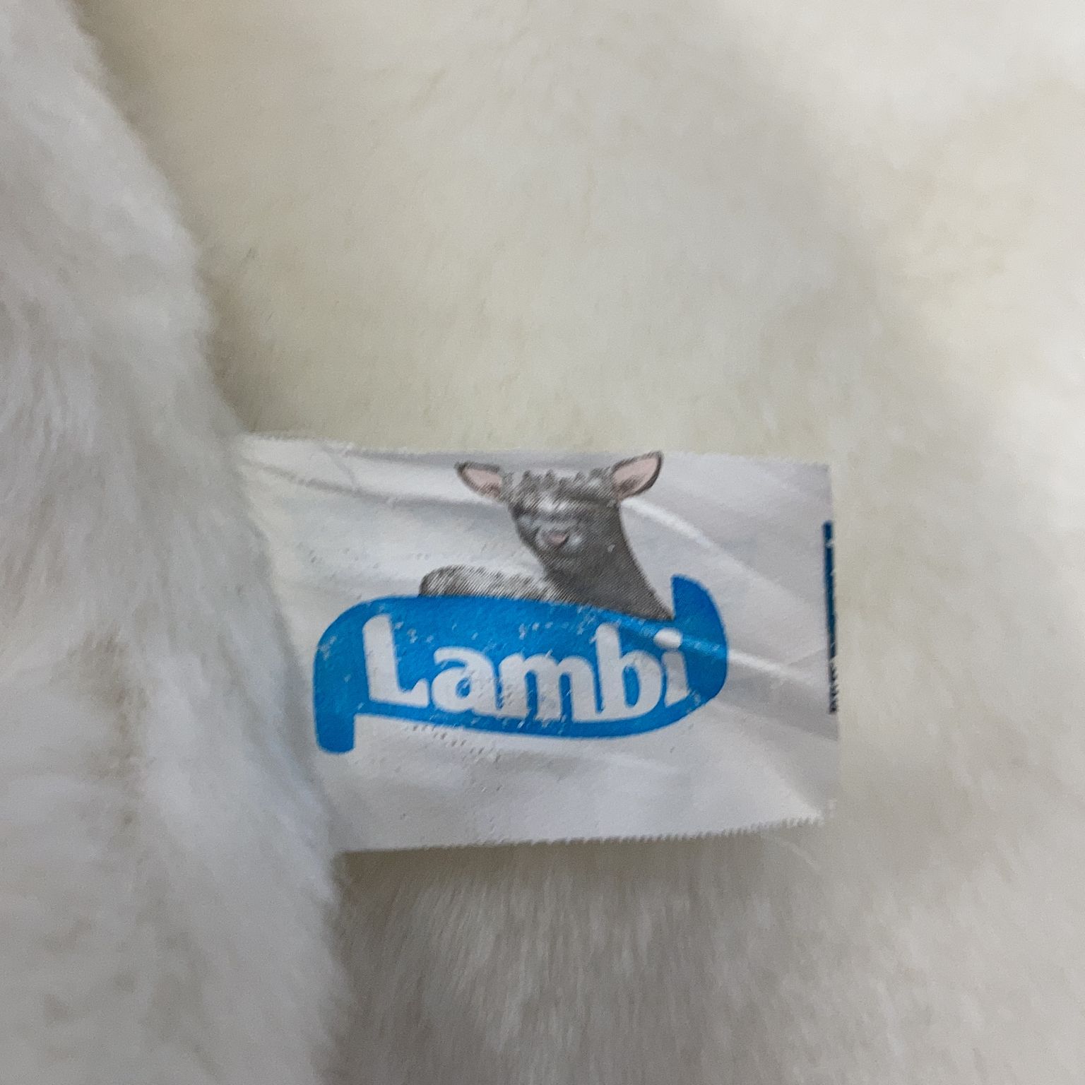 Lambi