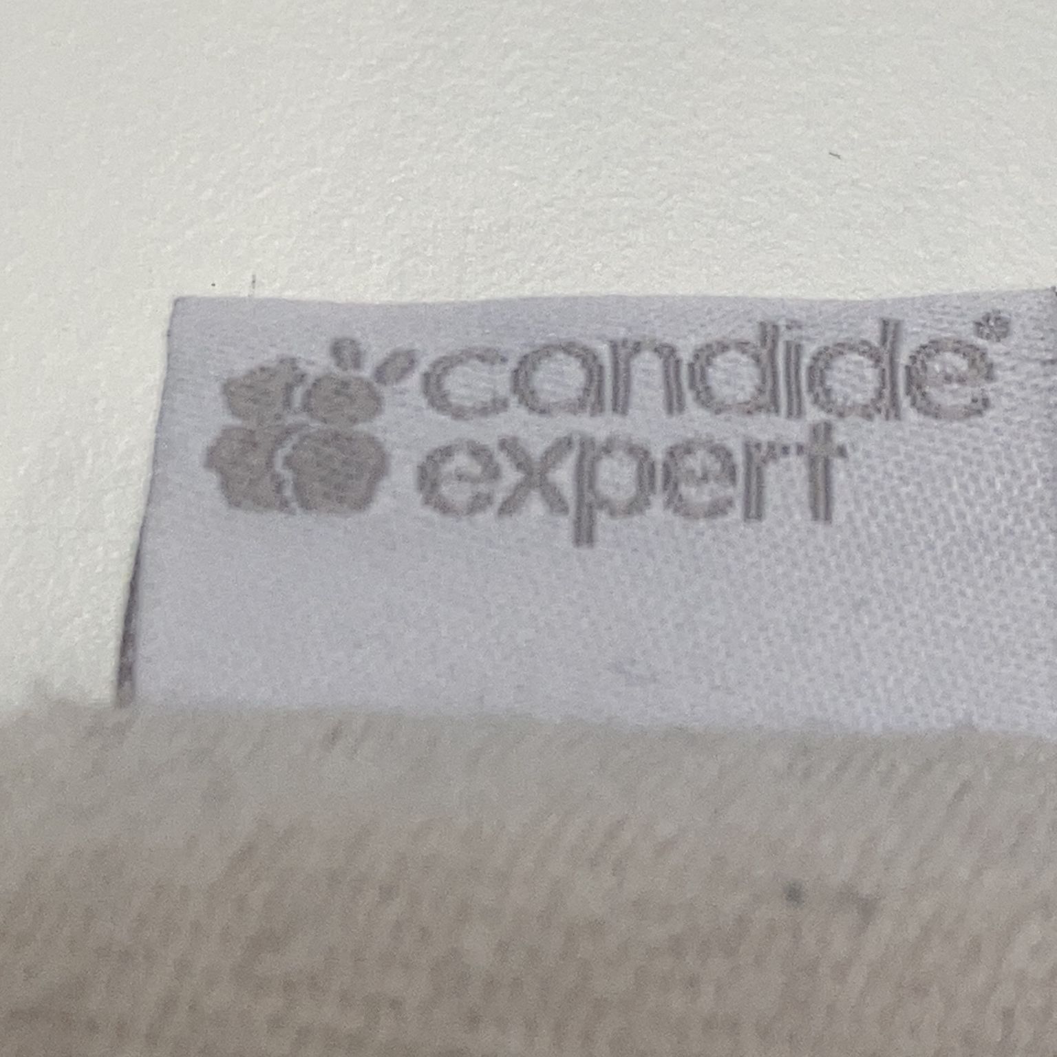 Candide Expert