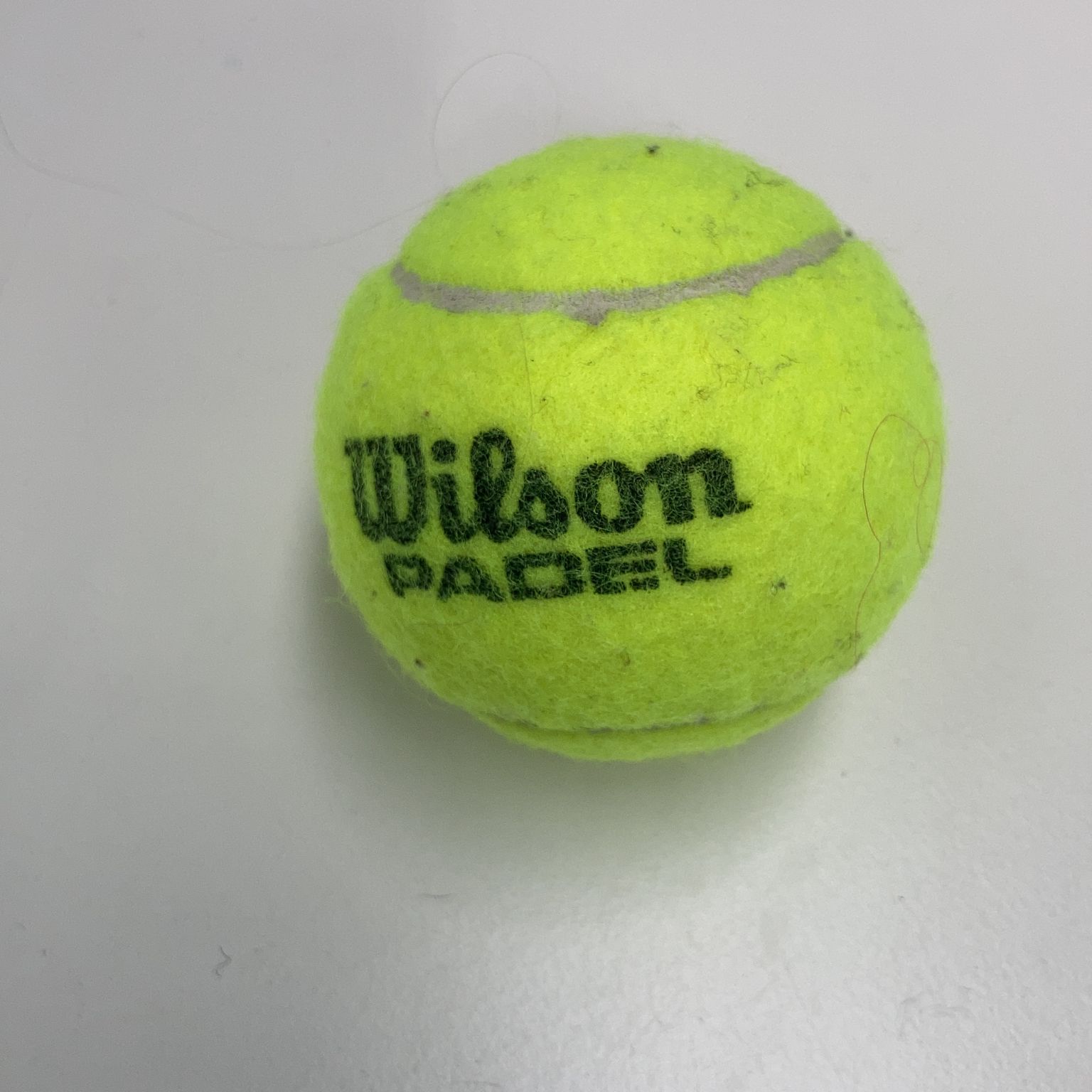 Wilson