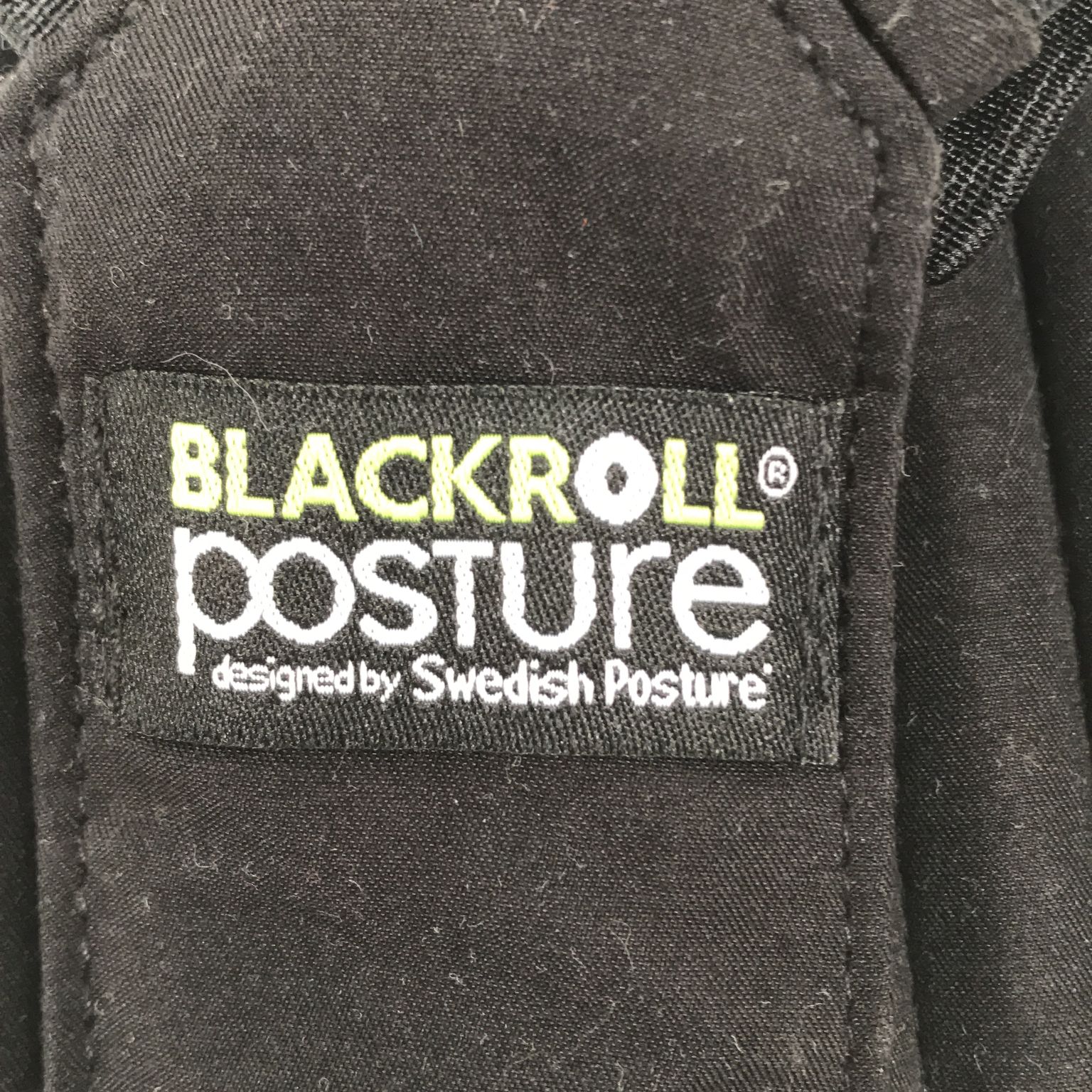 Swedish Posture