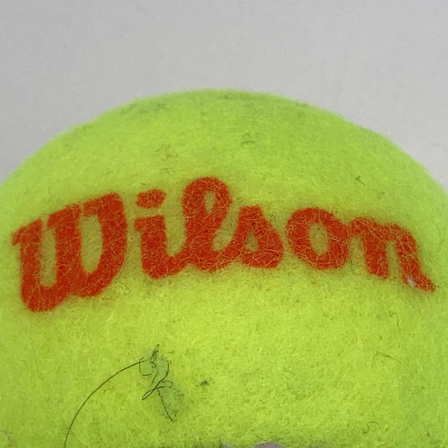 Wilson