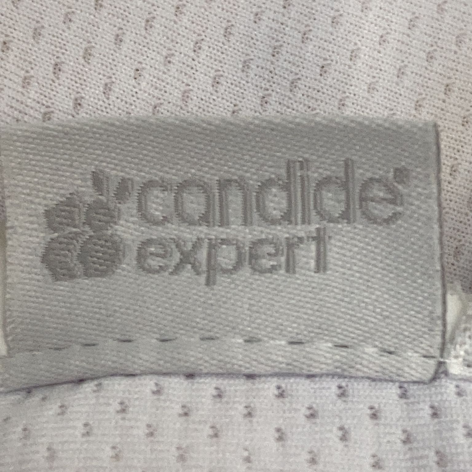 Candide Expert