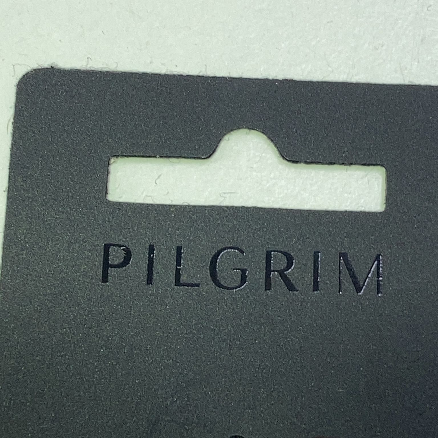 Pilgrim