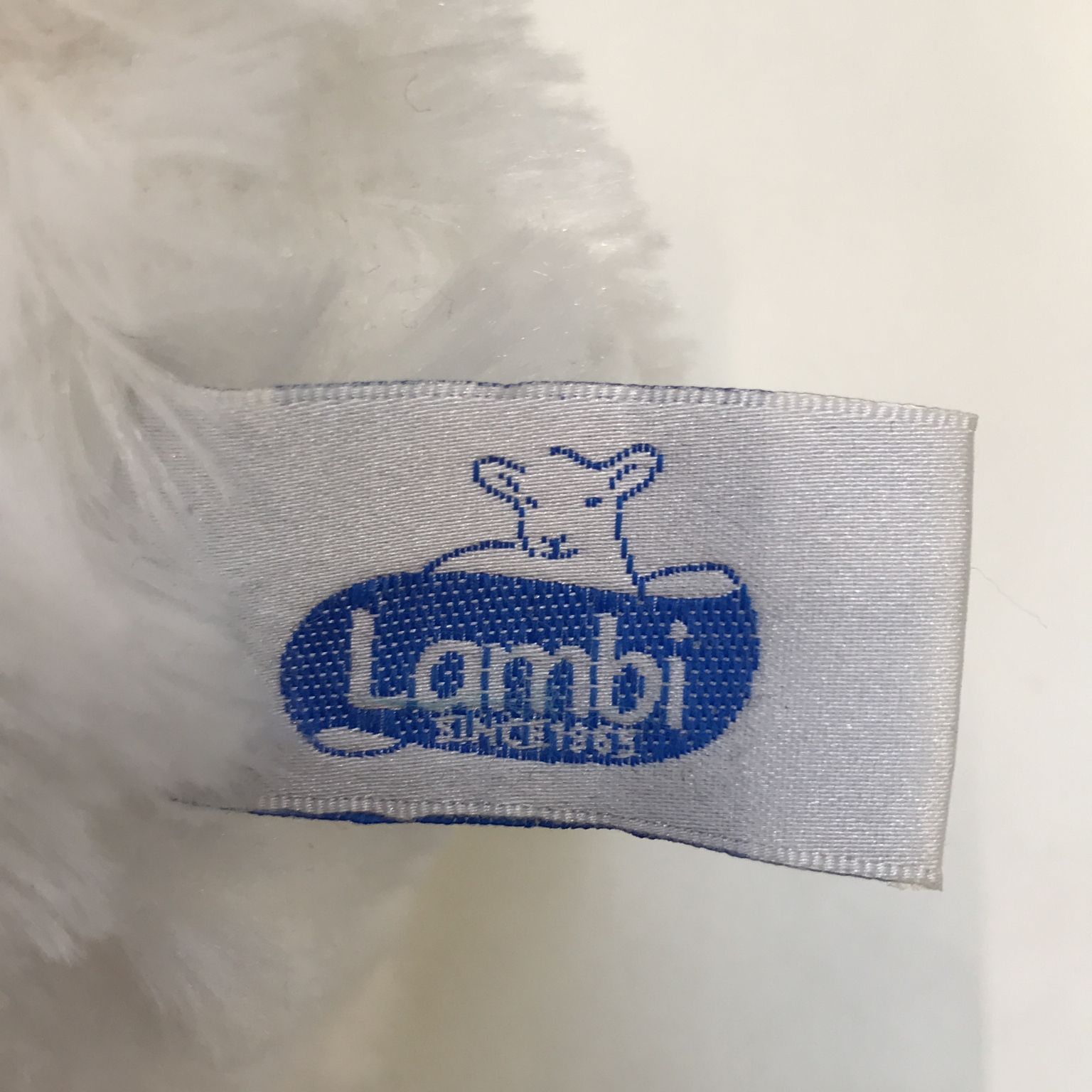 Lambi