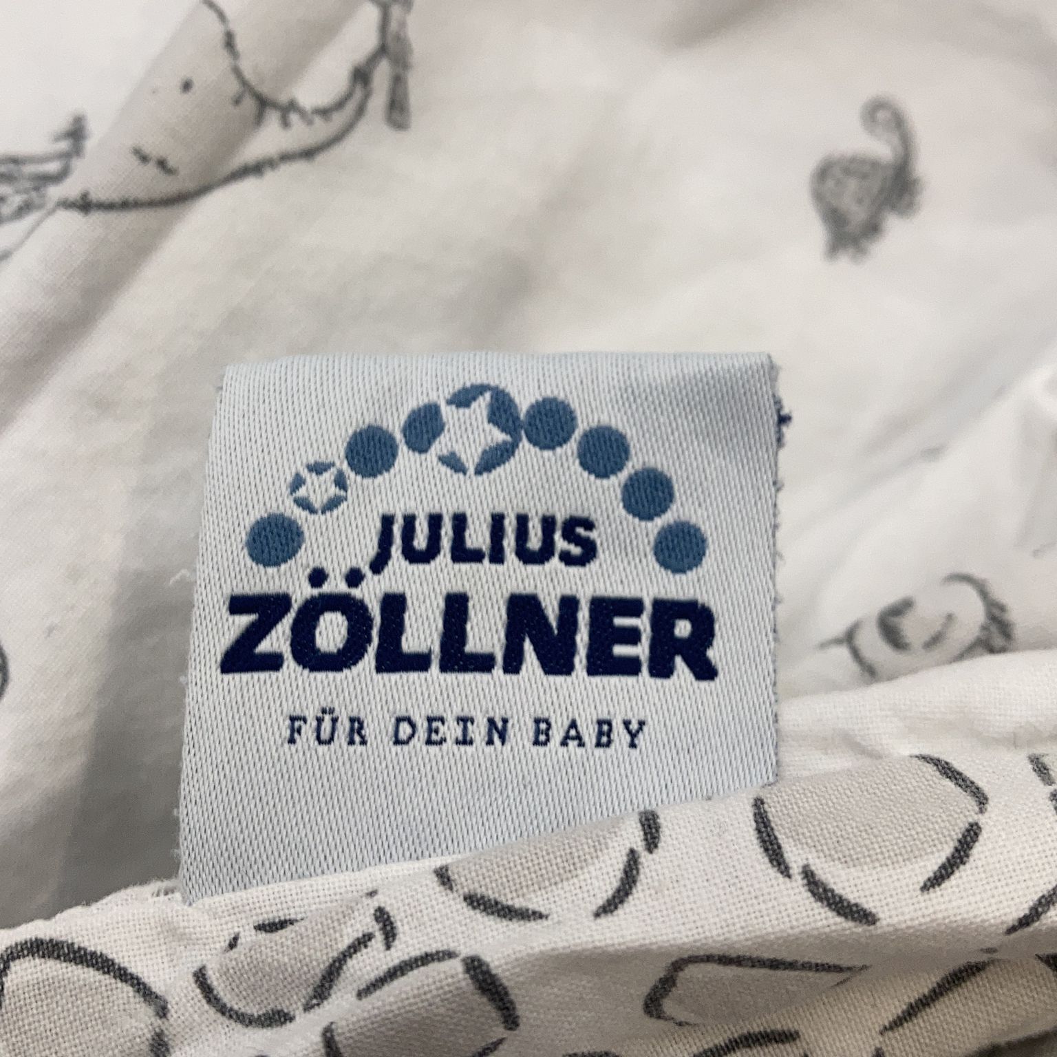 Julius Zöllner