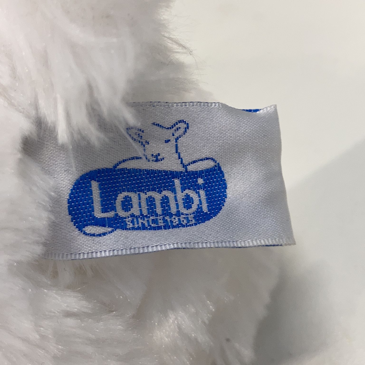 Lambi