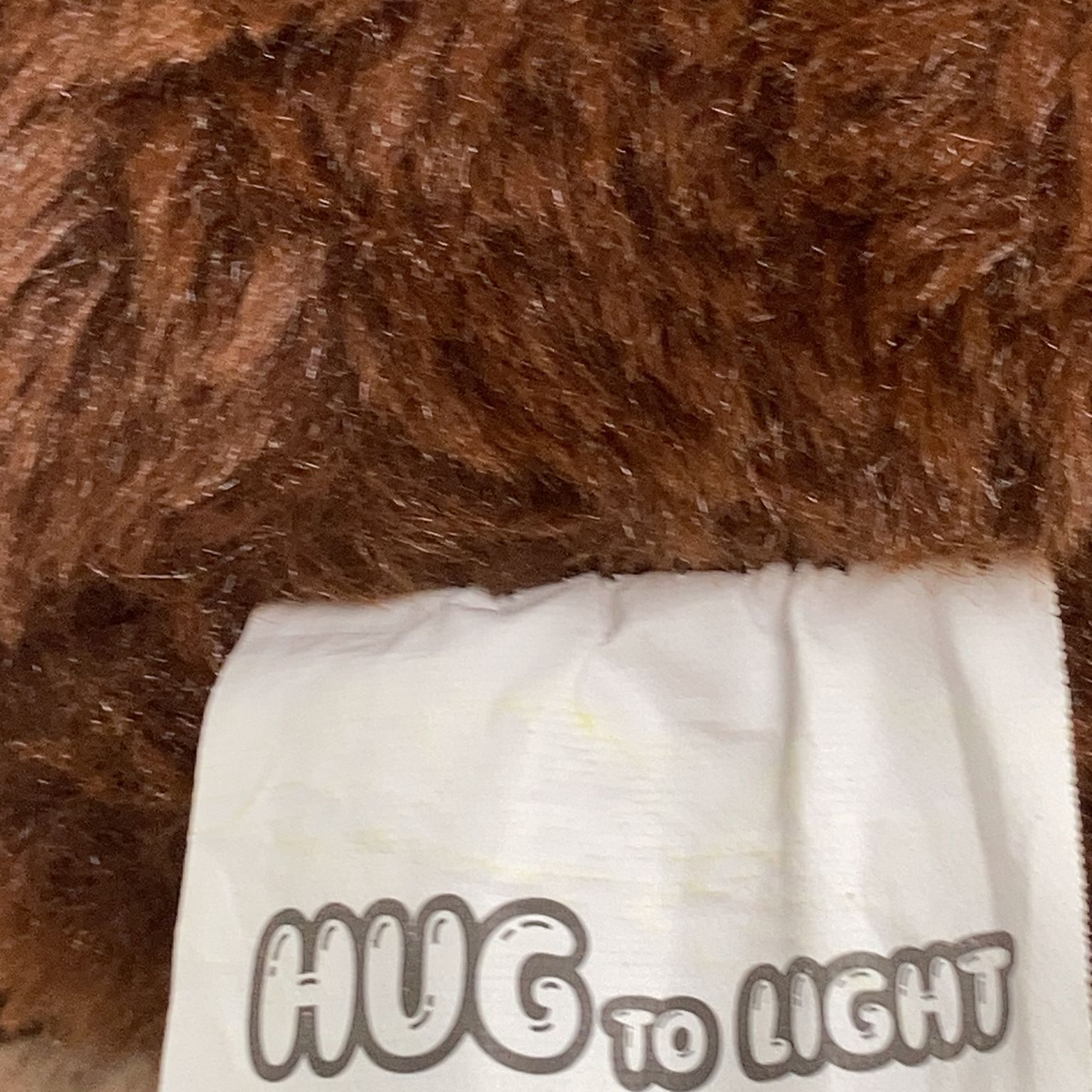 Hug to Light