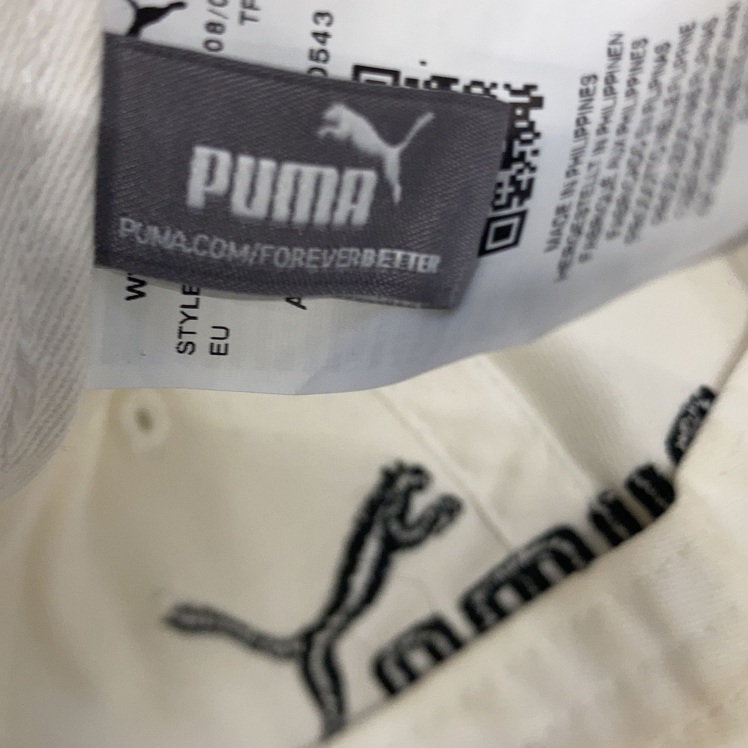 Puma