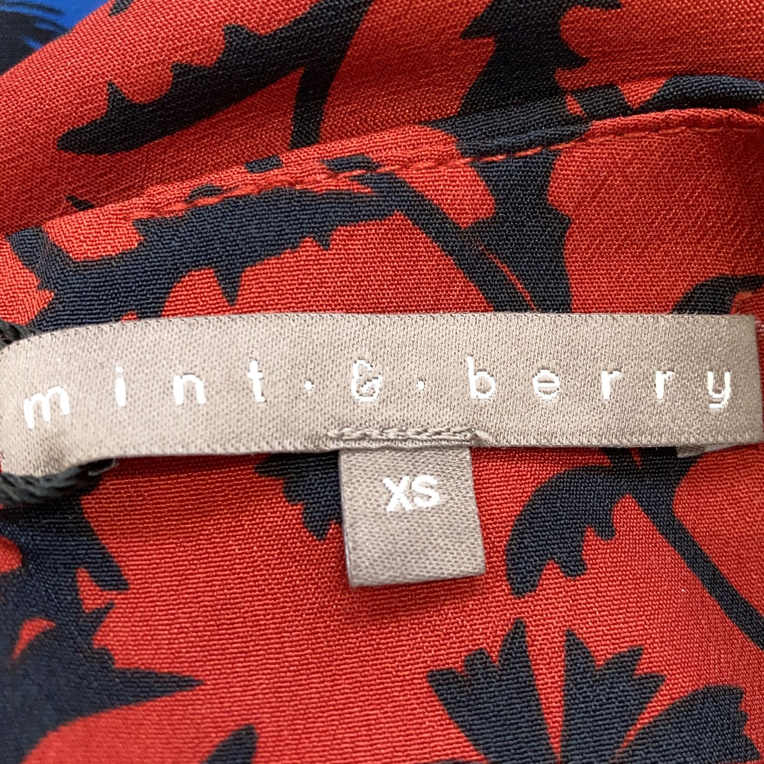 Mint  Berry