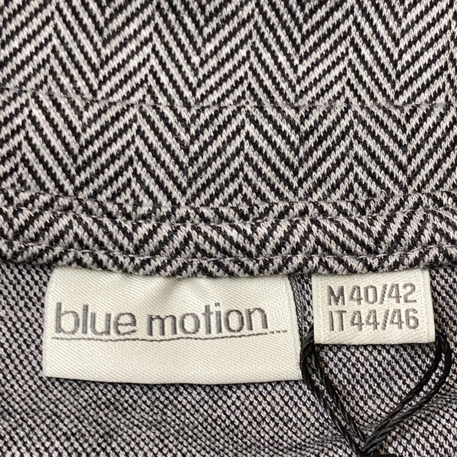 Blue Motion