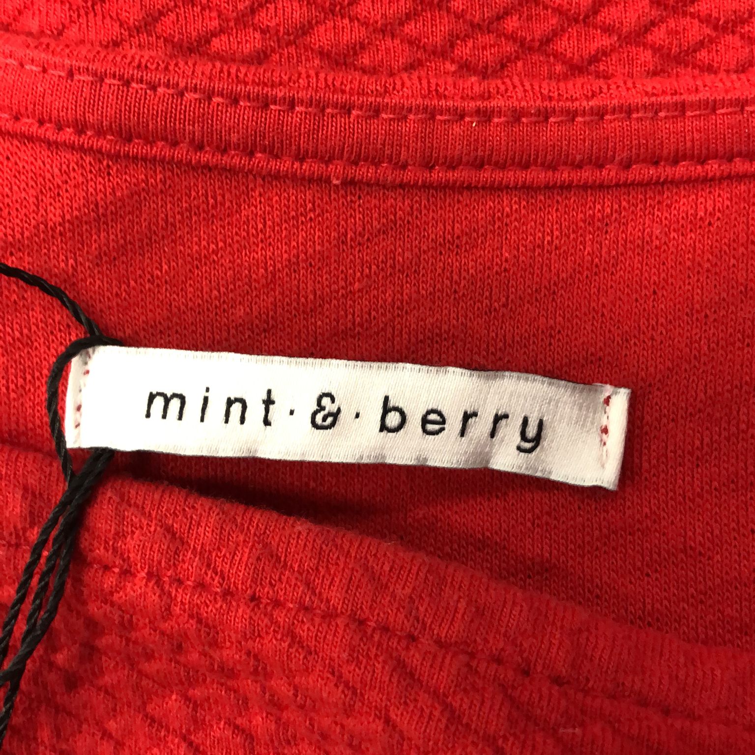 Mint  Berry