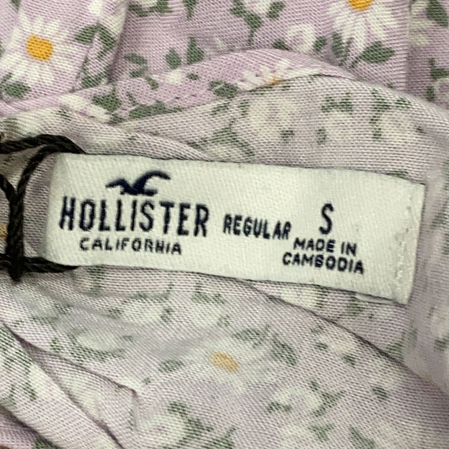 Hollister California