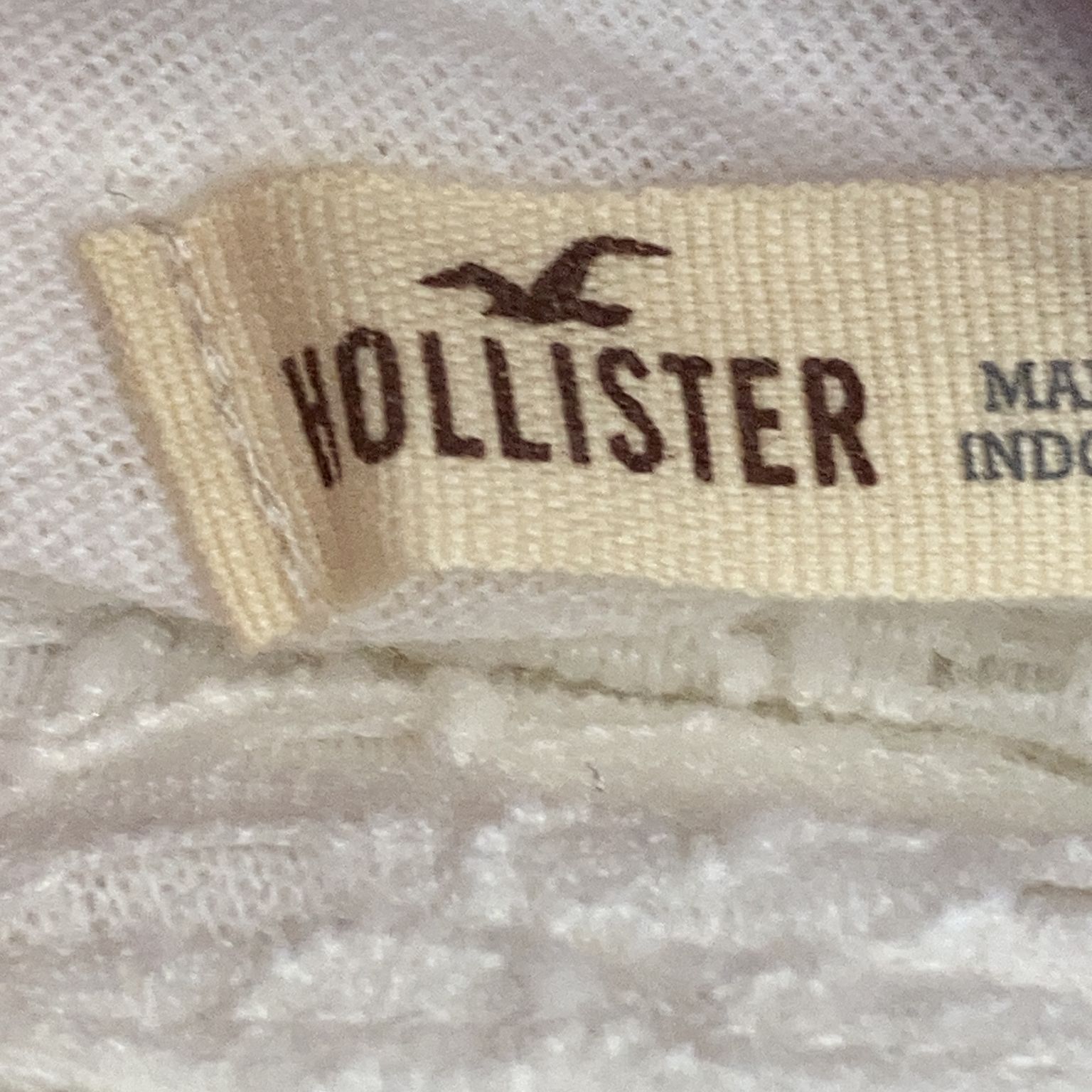 Hollister