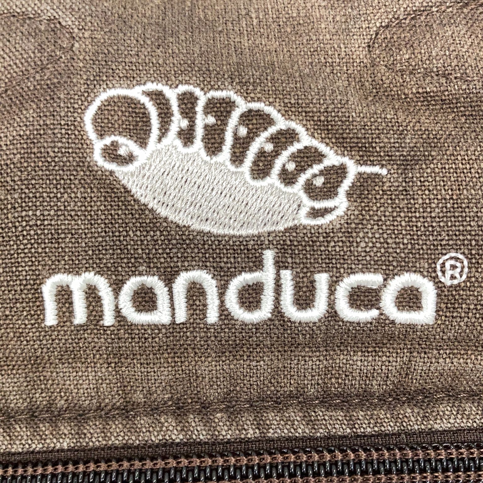 Manduca