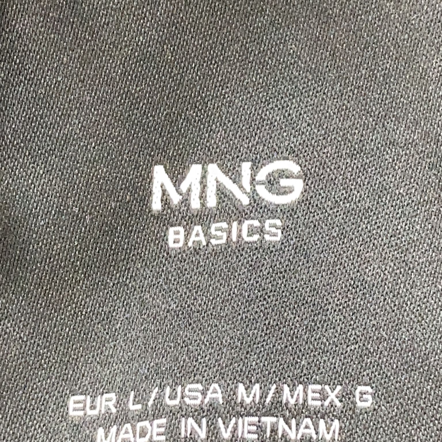 Mango Basics