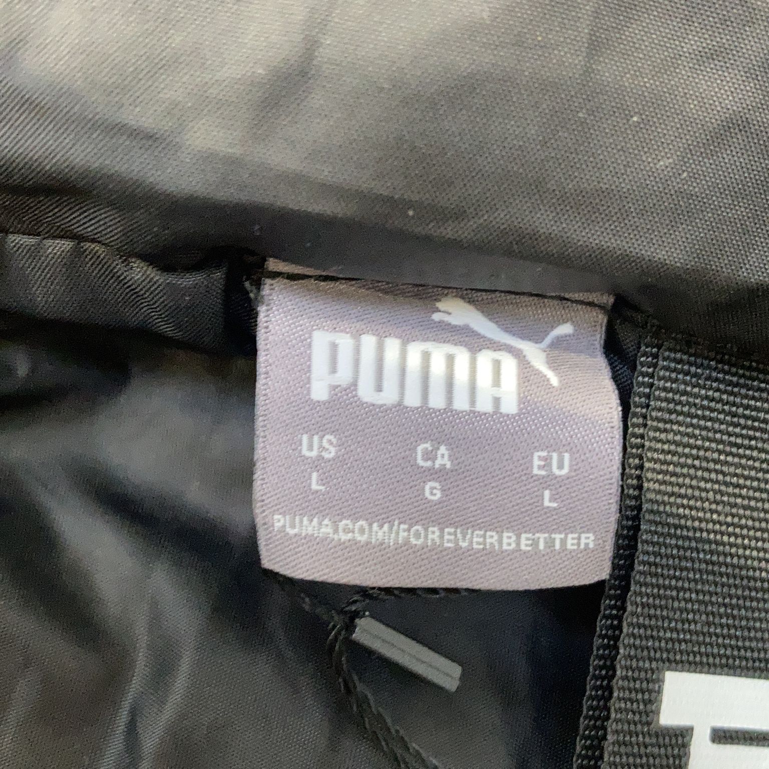 Puma