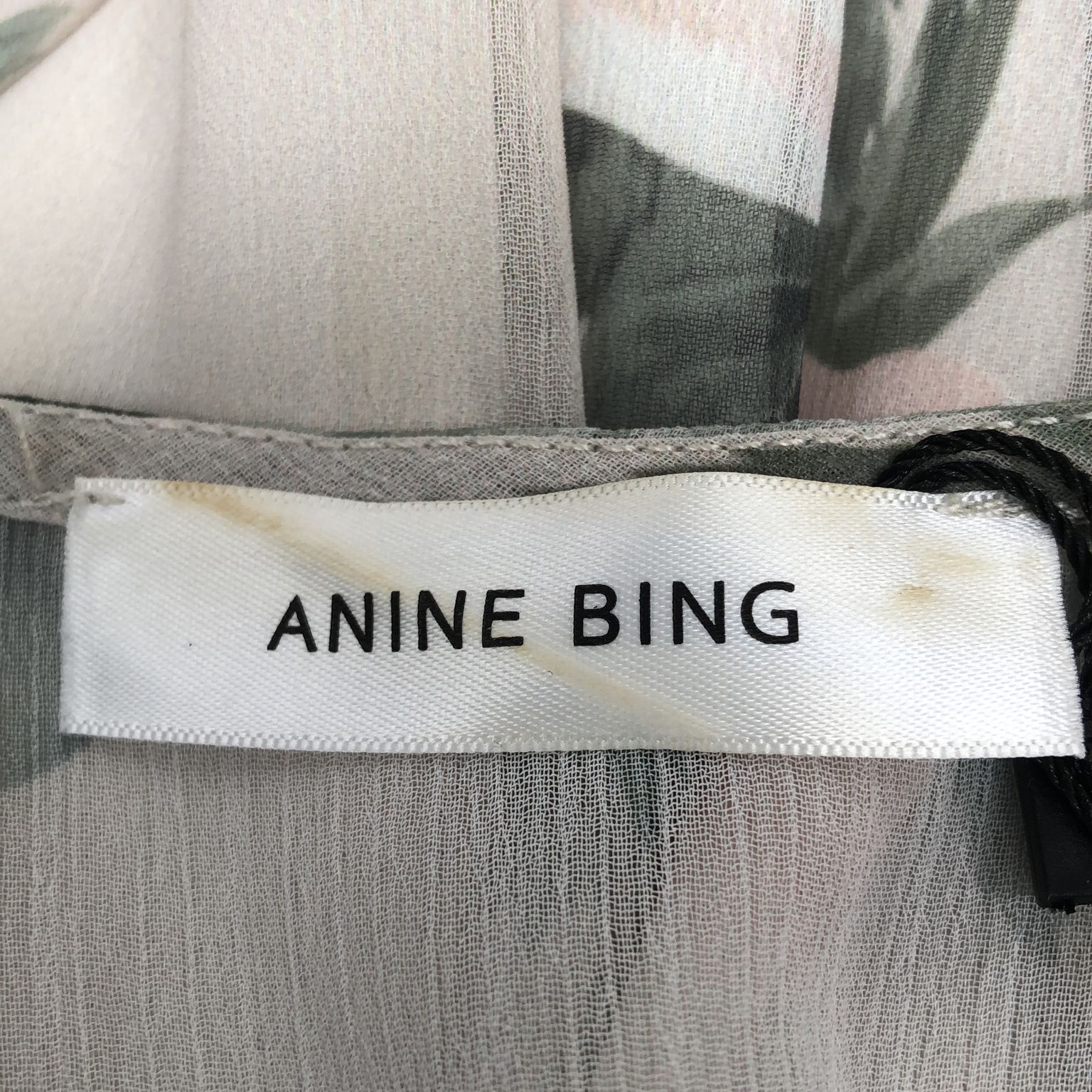 Anine Bing