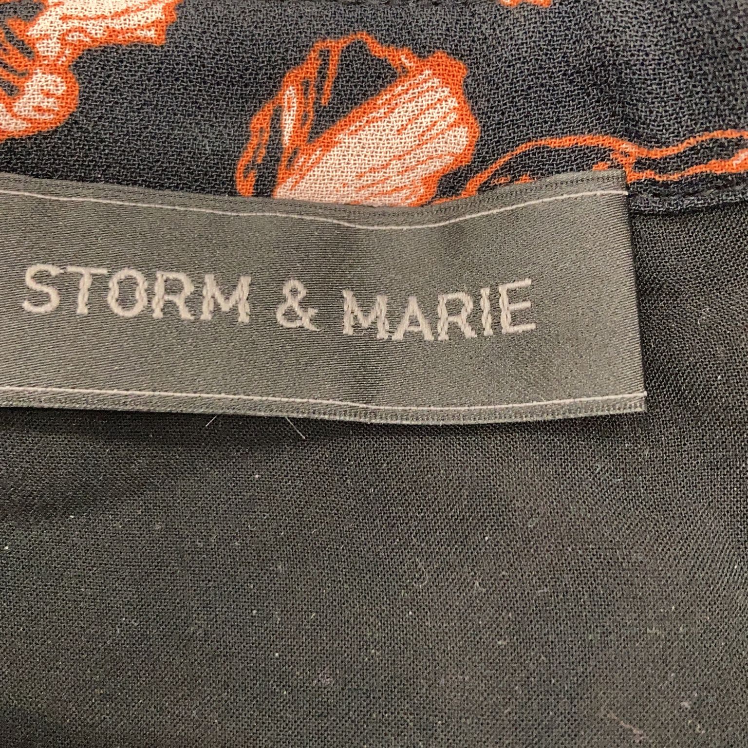 Storm  Marie