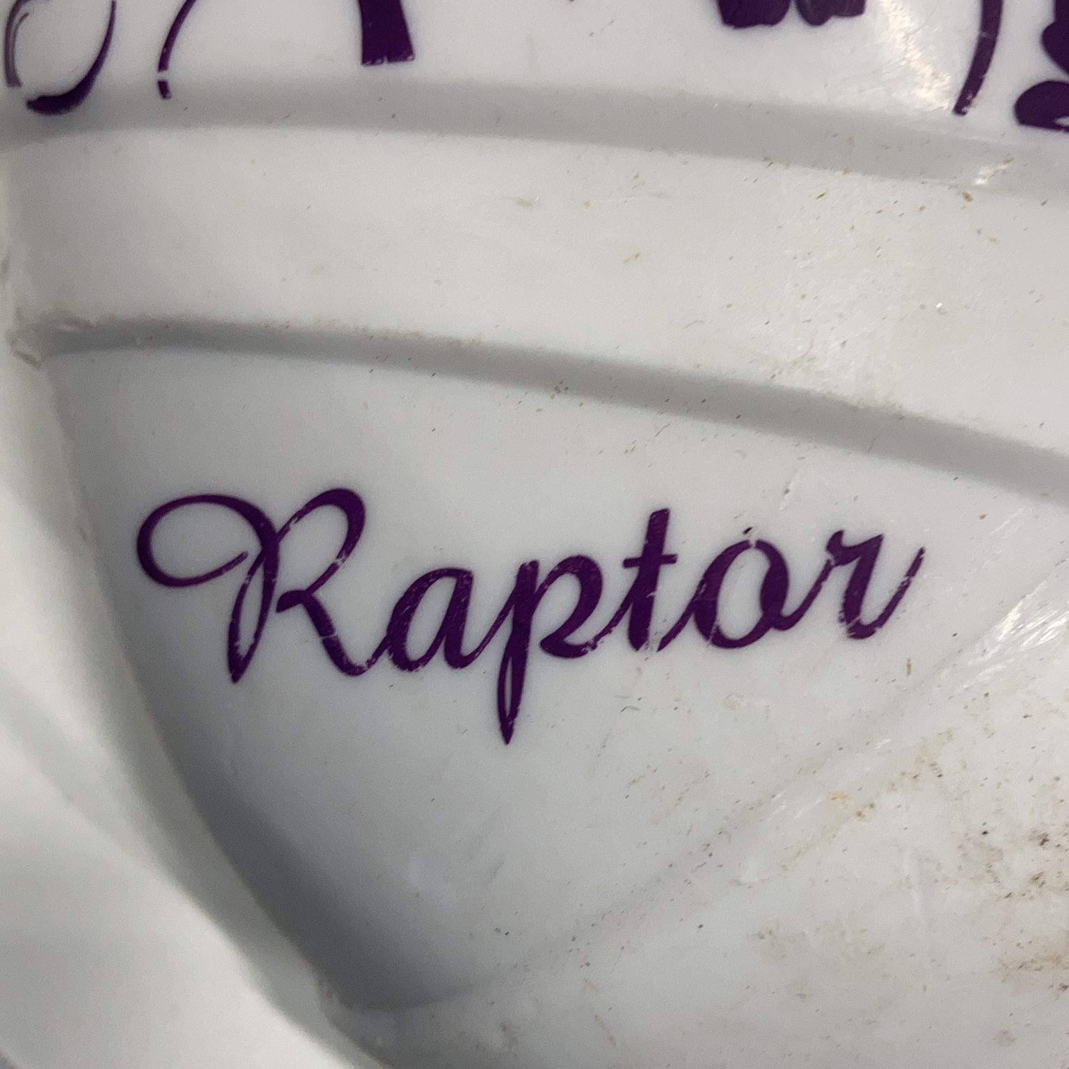 Raptor