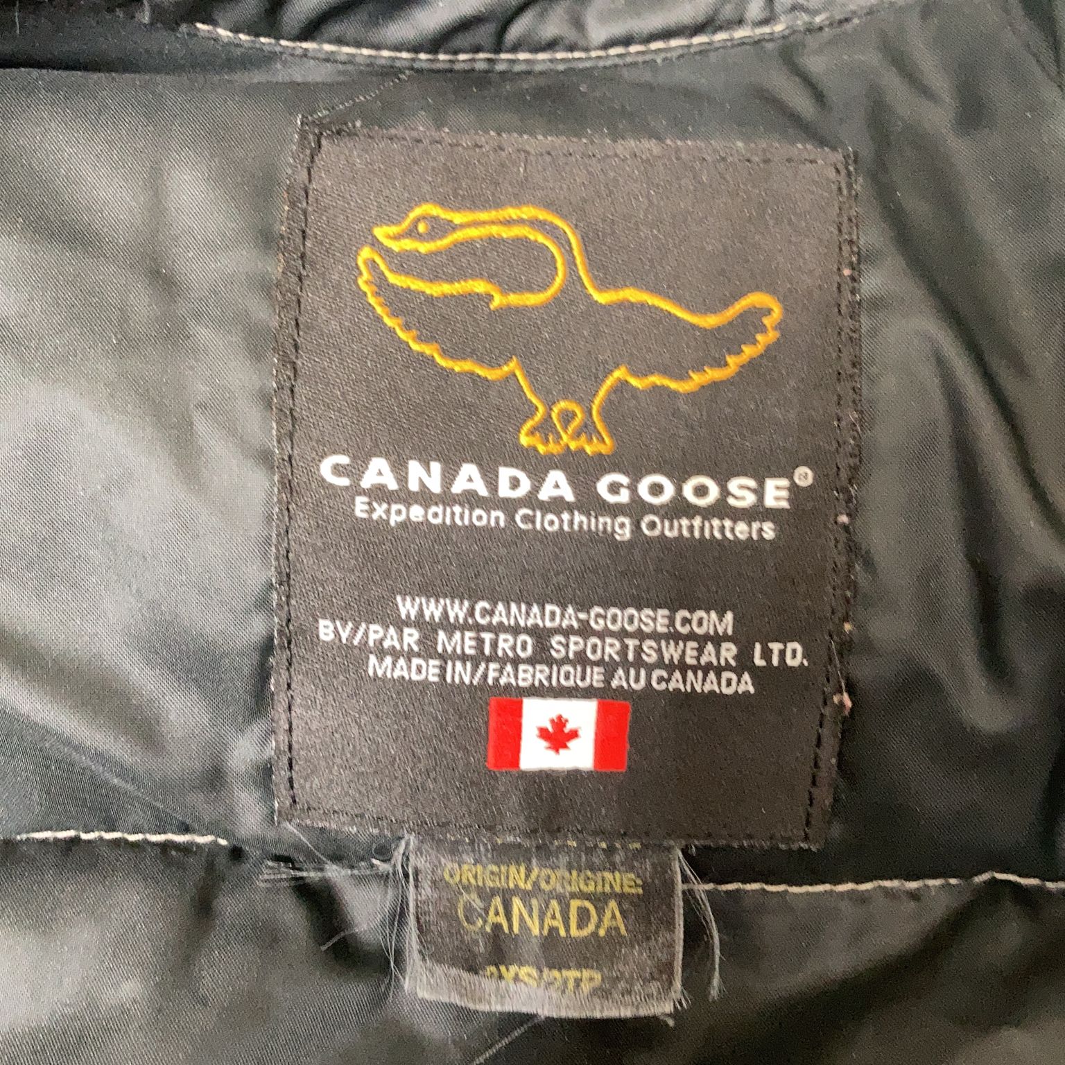 Canada Goose