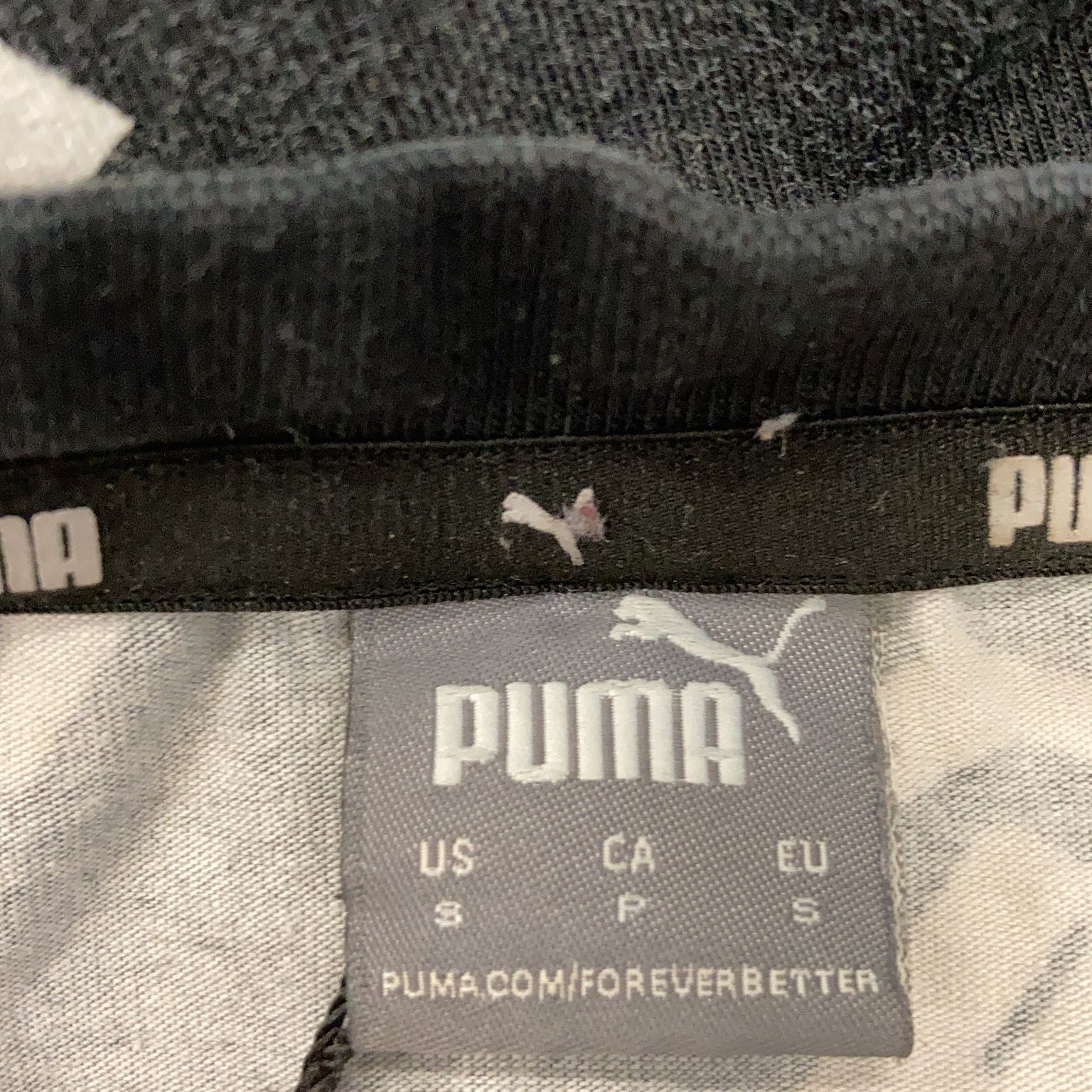 Puma