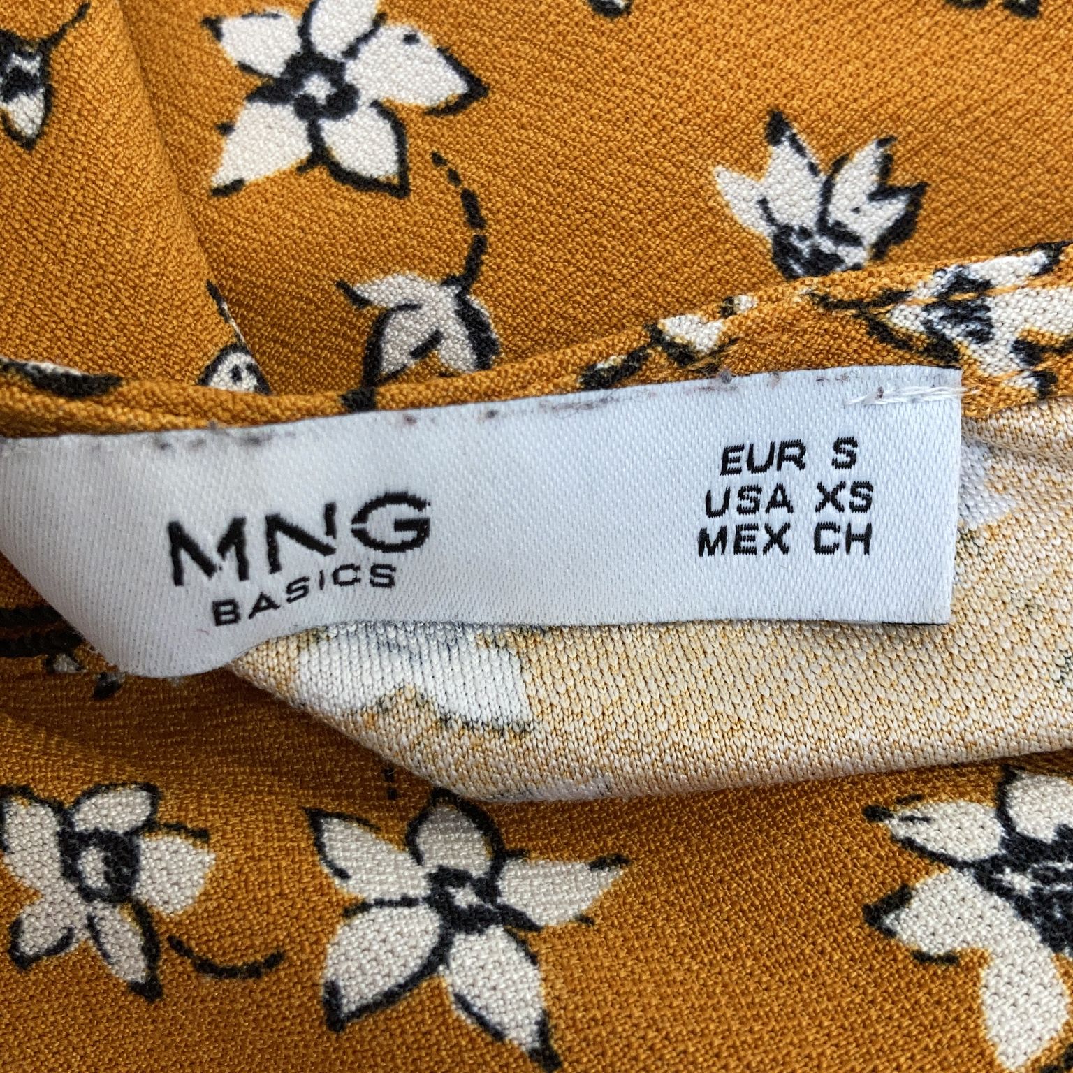 Mango Basics