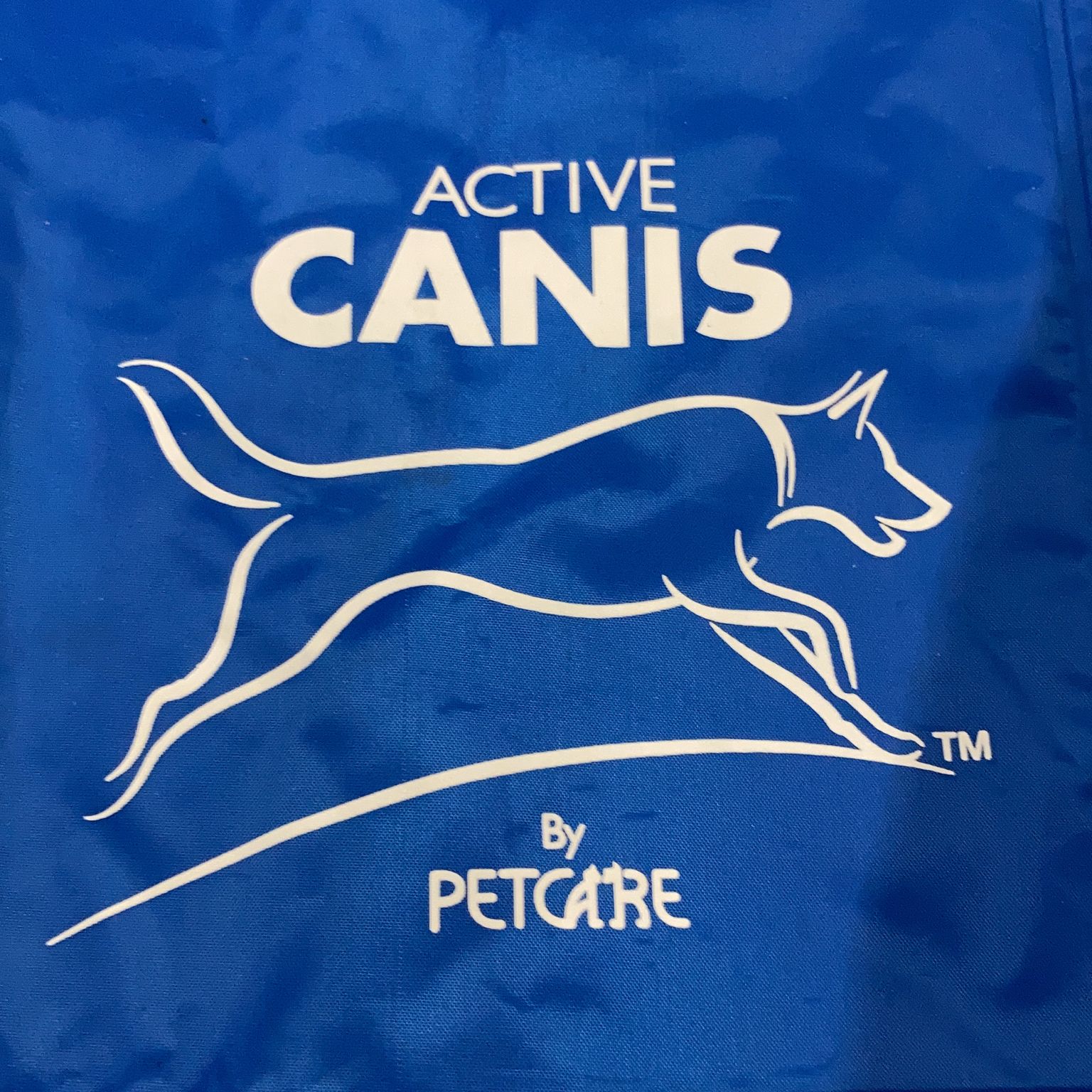 Active Canis