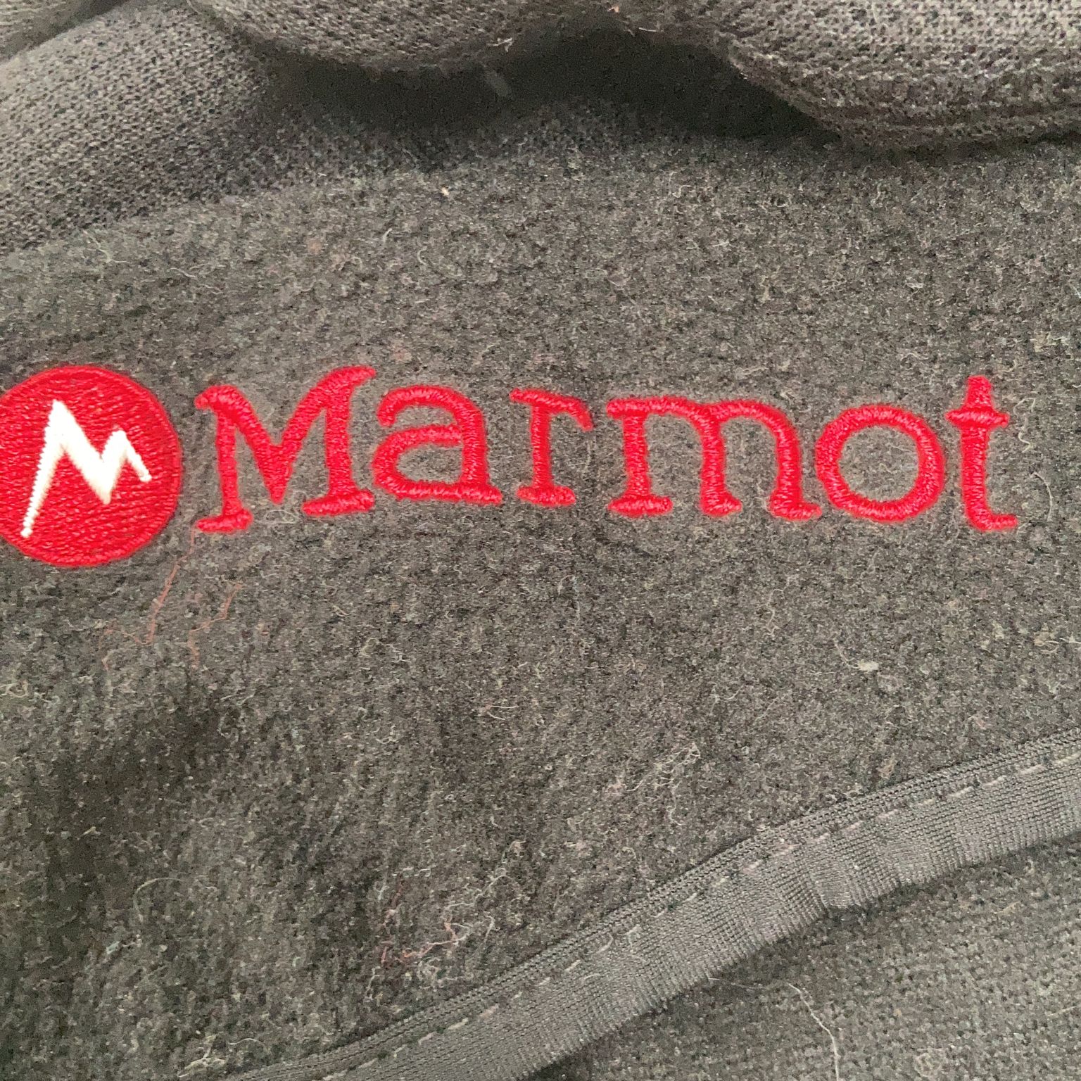 Marmot