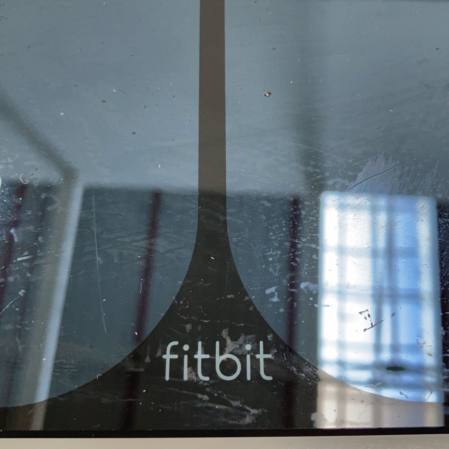 FitBit