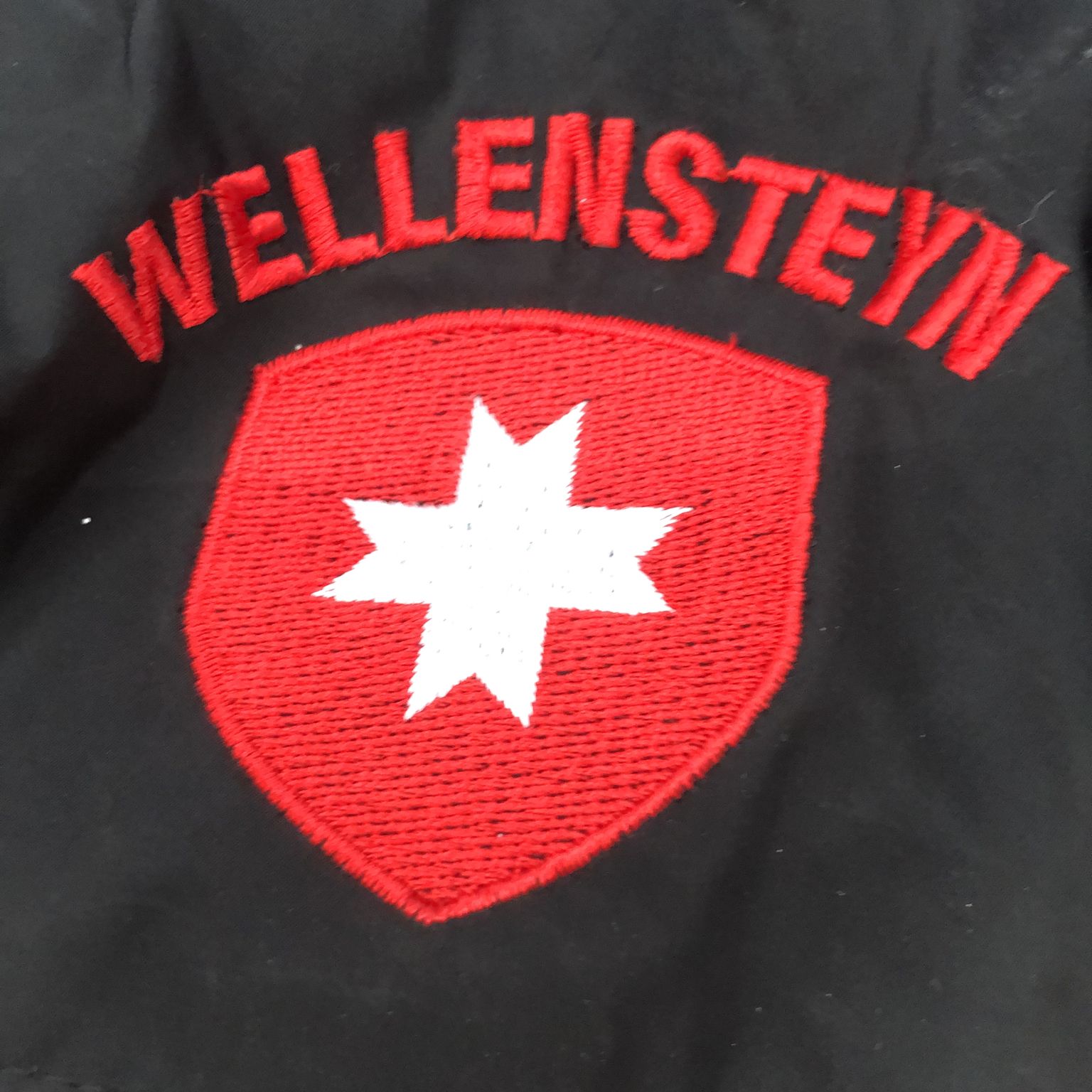 Wellensteyn