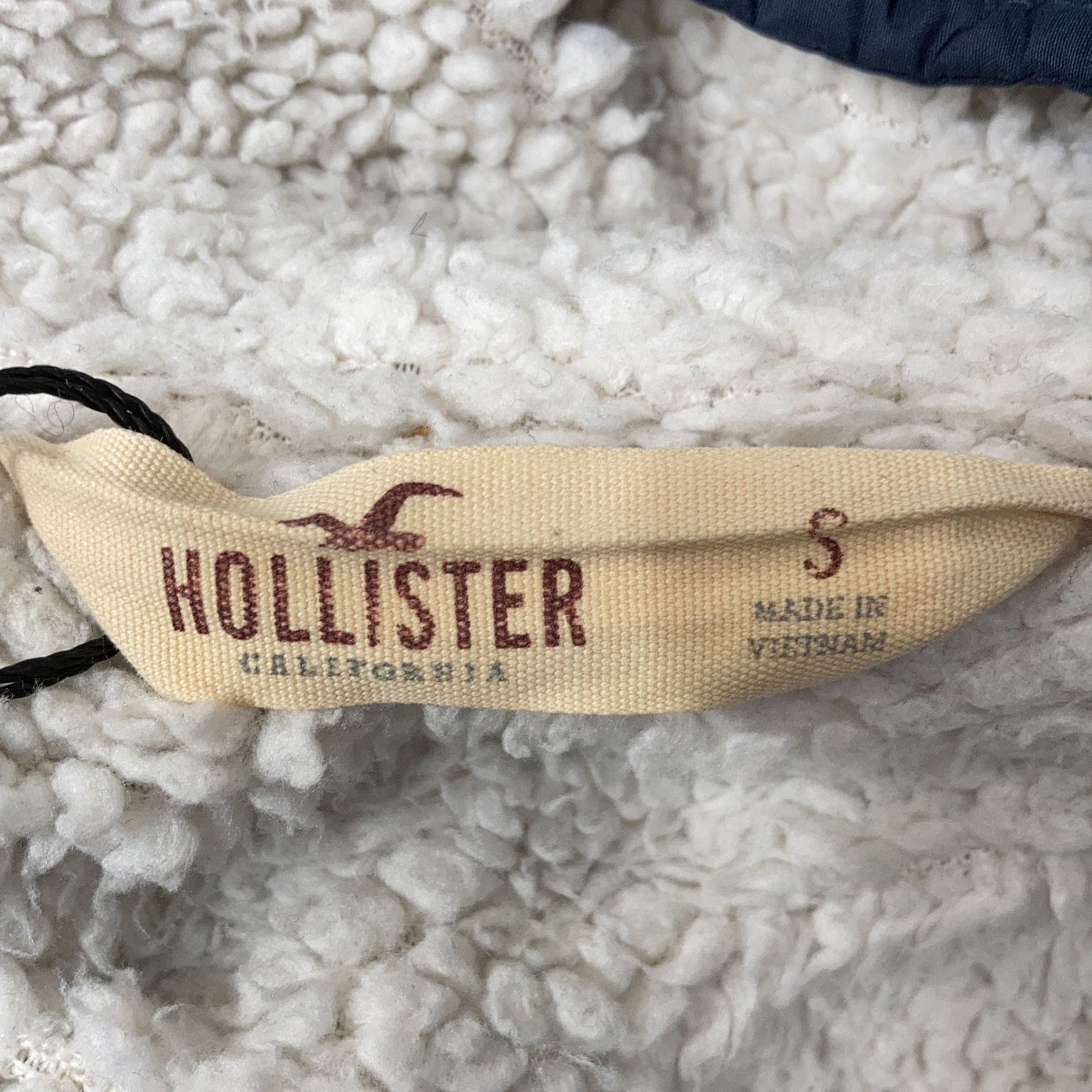 Hollister