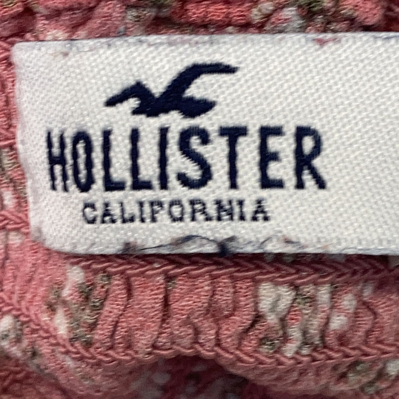 Hollister