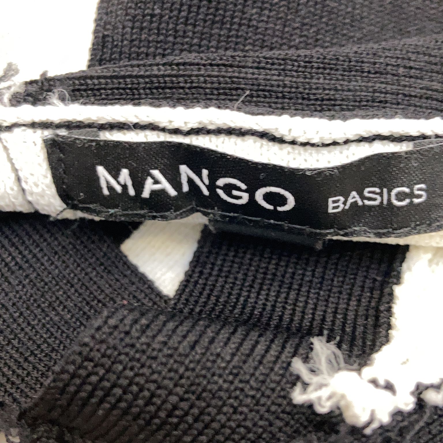 Mango Basics