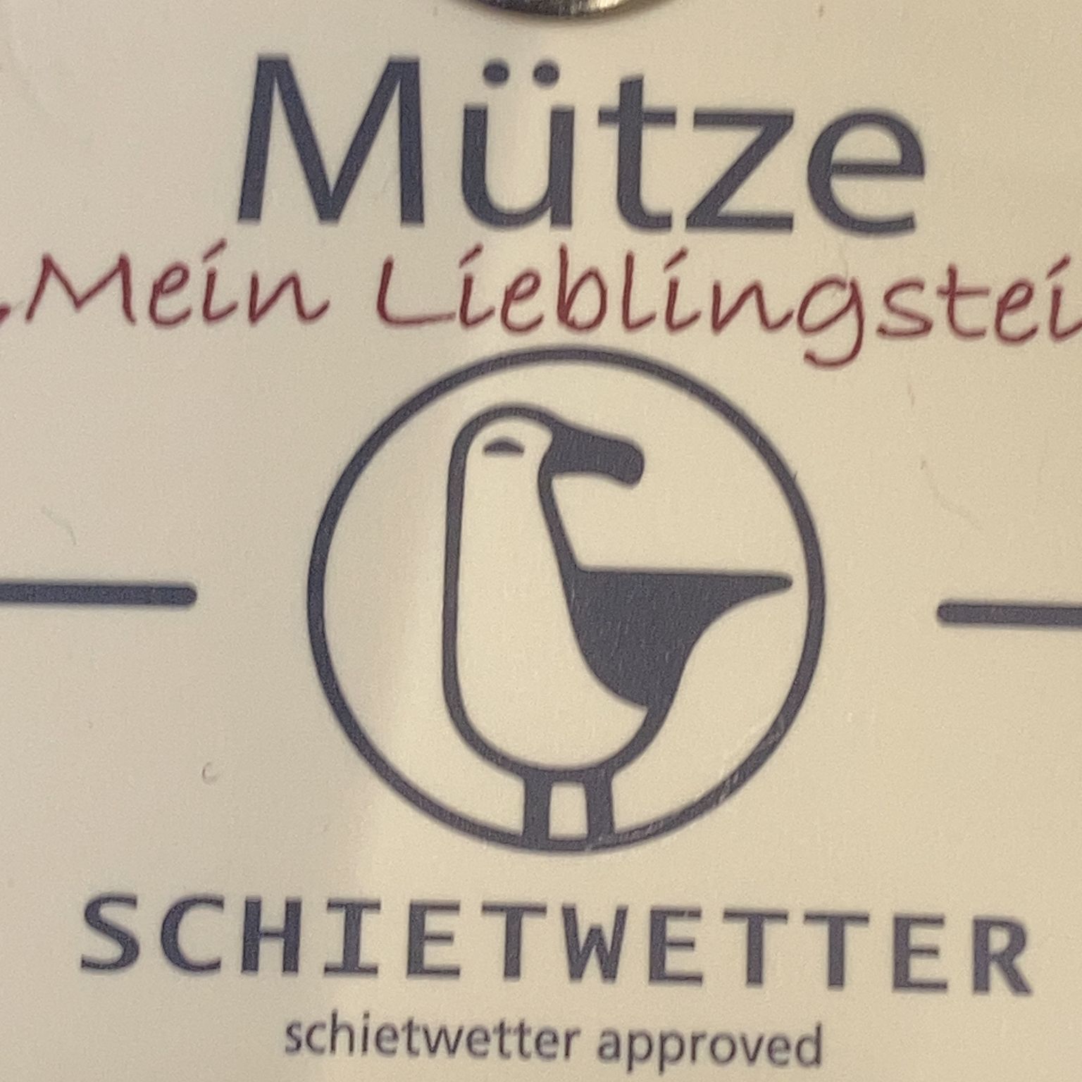 Mütze