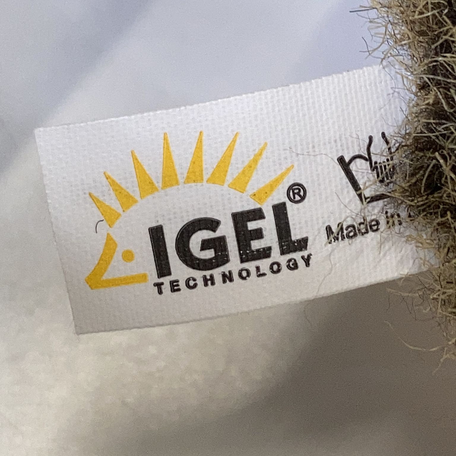 Igel