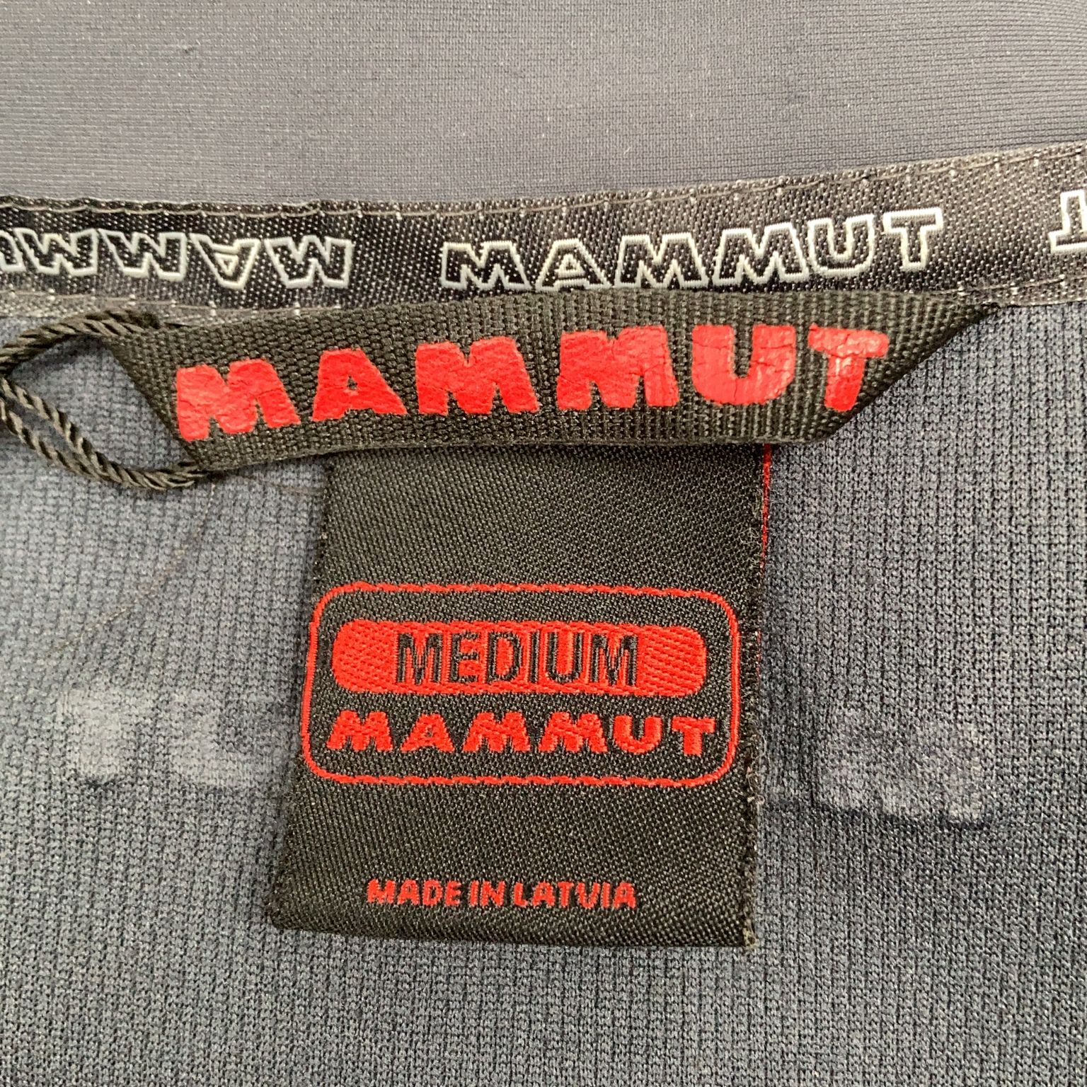 Mammut