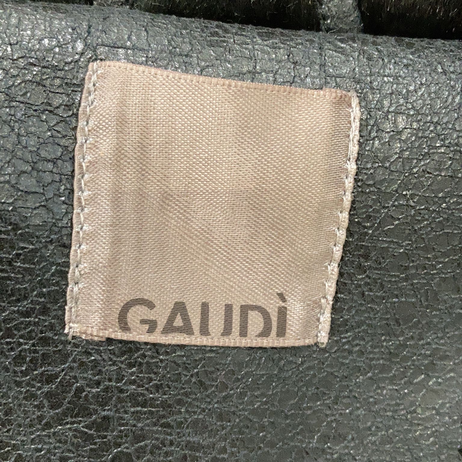 Gaudi