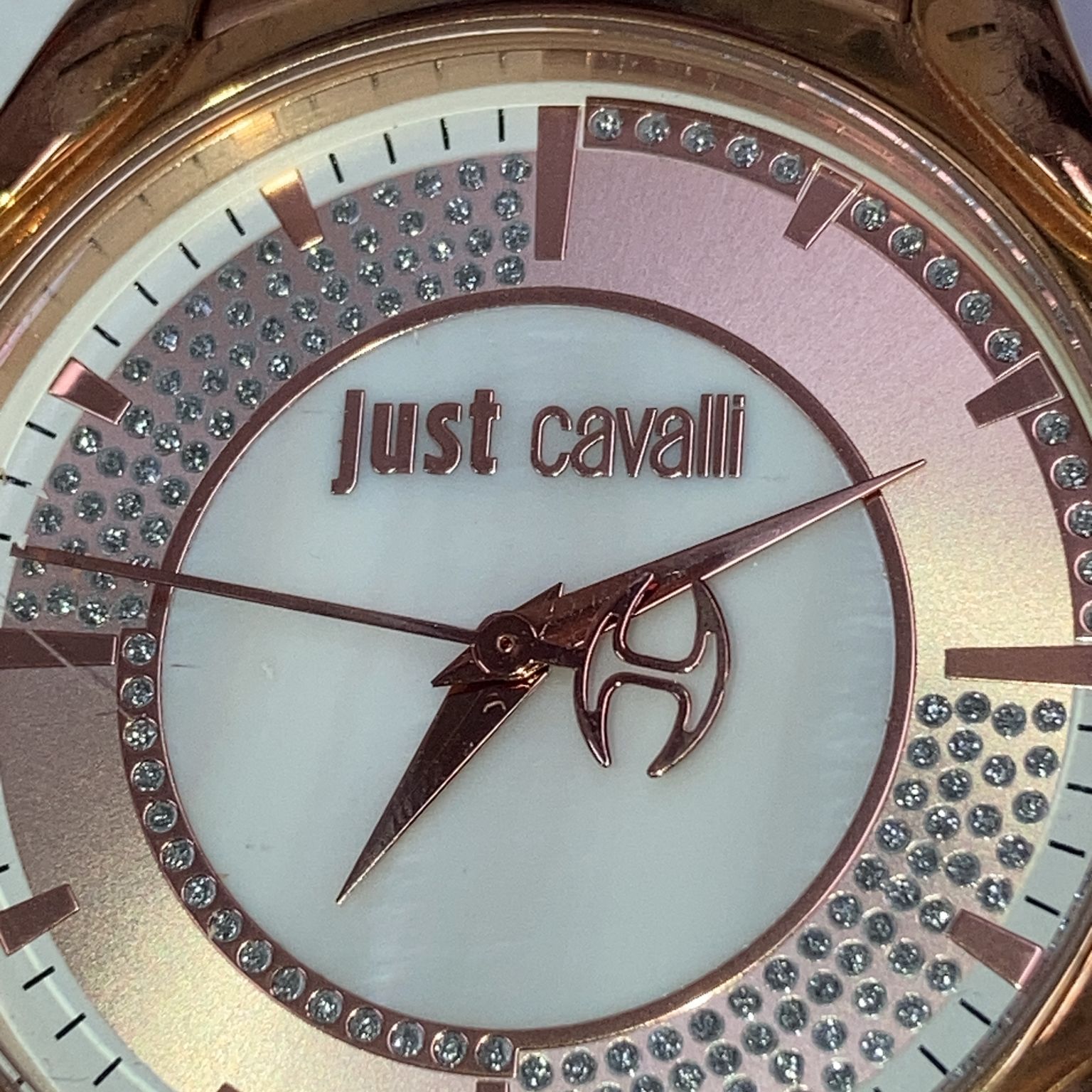 Just Cavalli