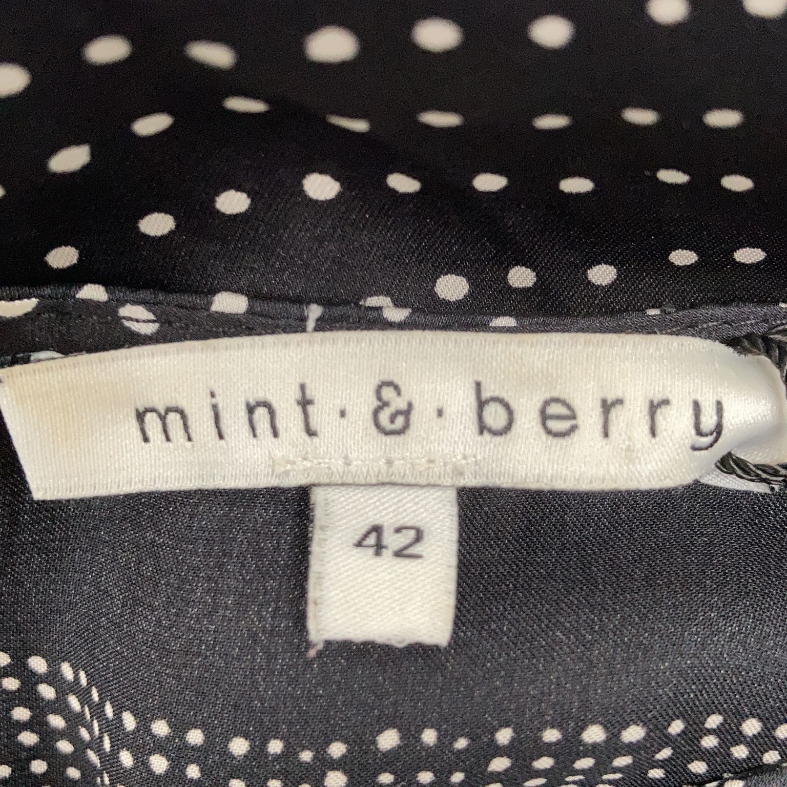 Mint  Berry