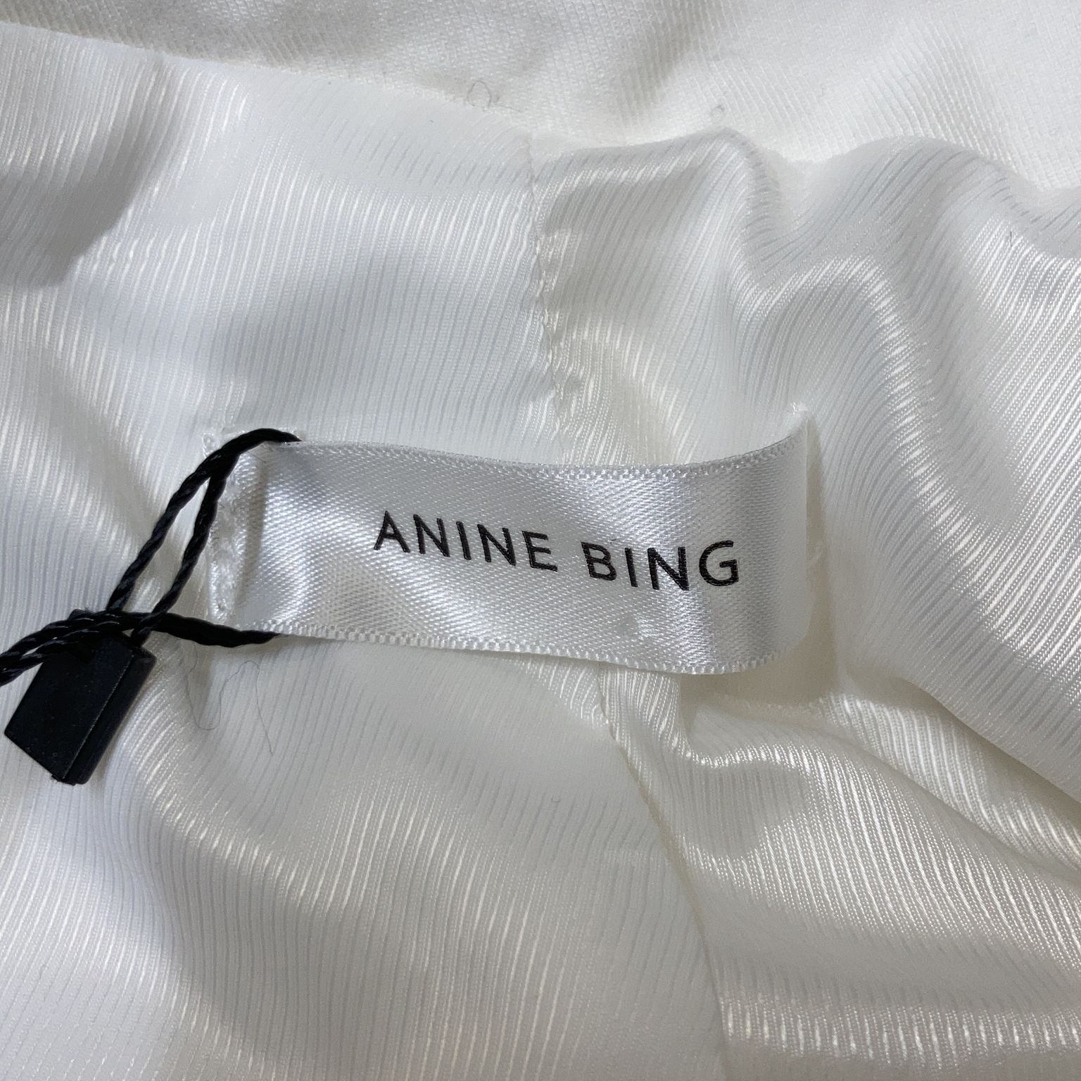 Anine Bing