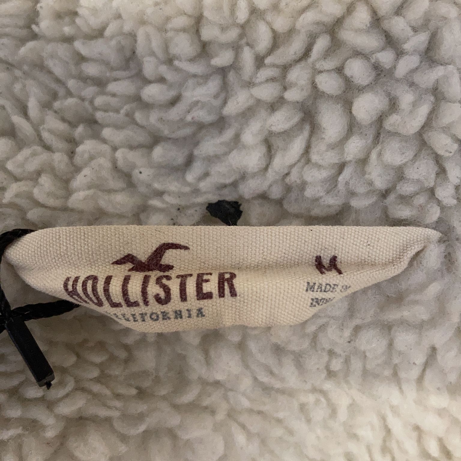 Hollister