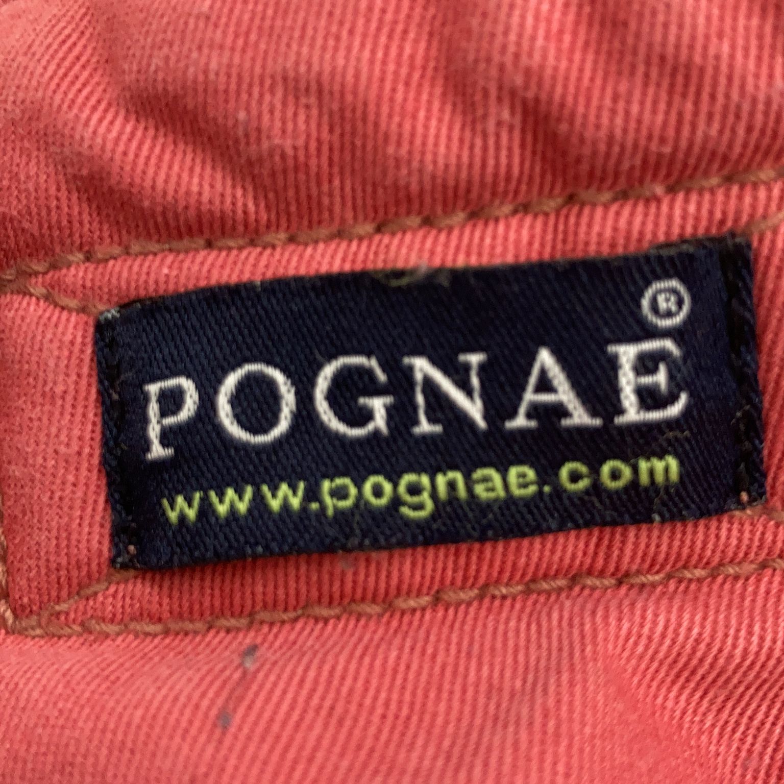 Pognae